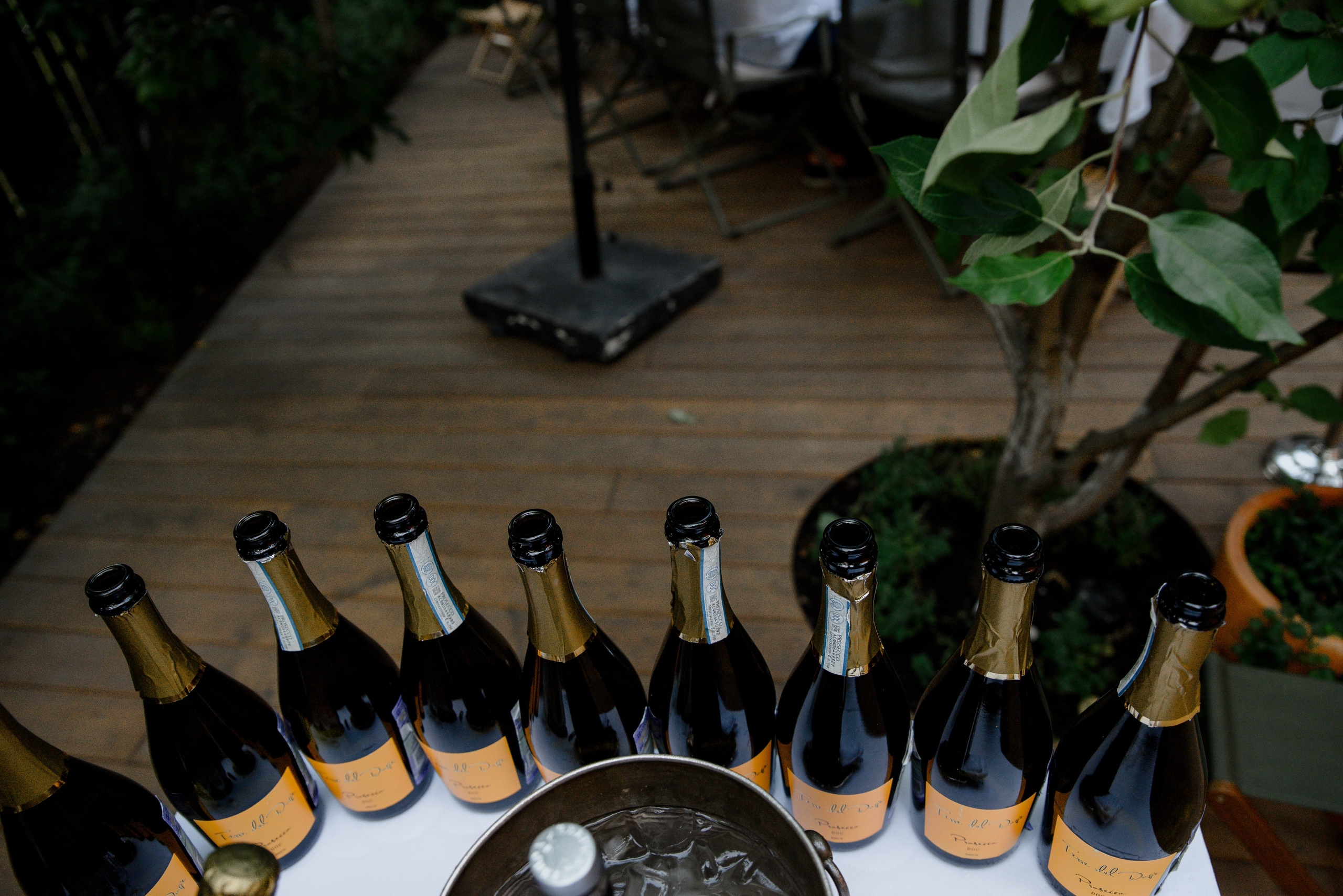 Летняя история из Санкт-Петербурга. Фотограф Алина Синицина