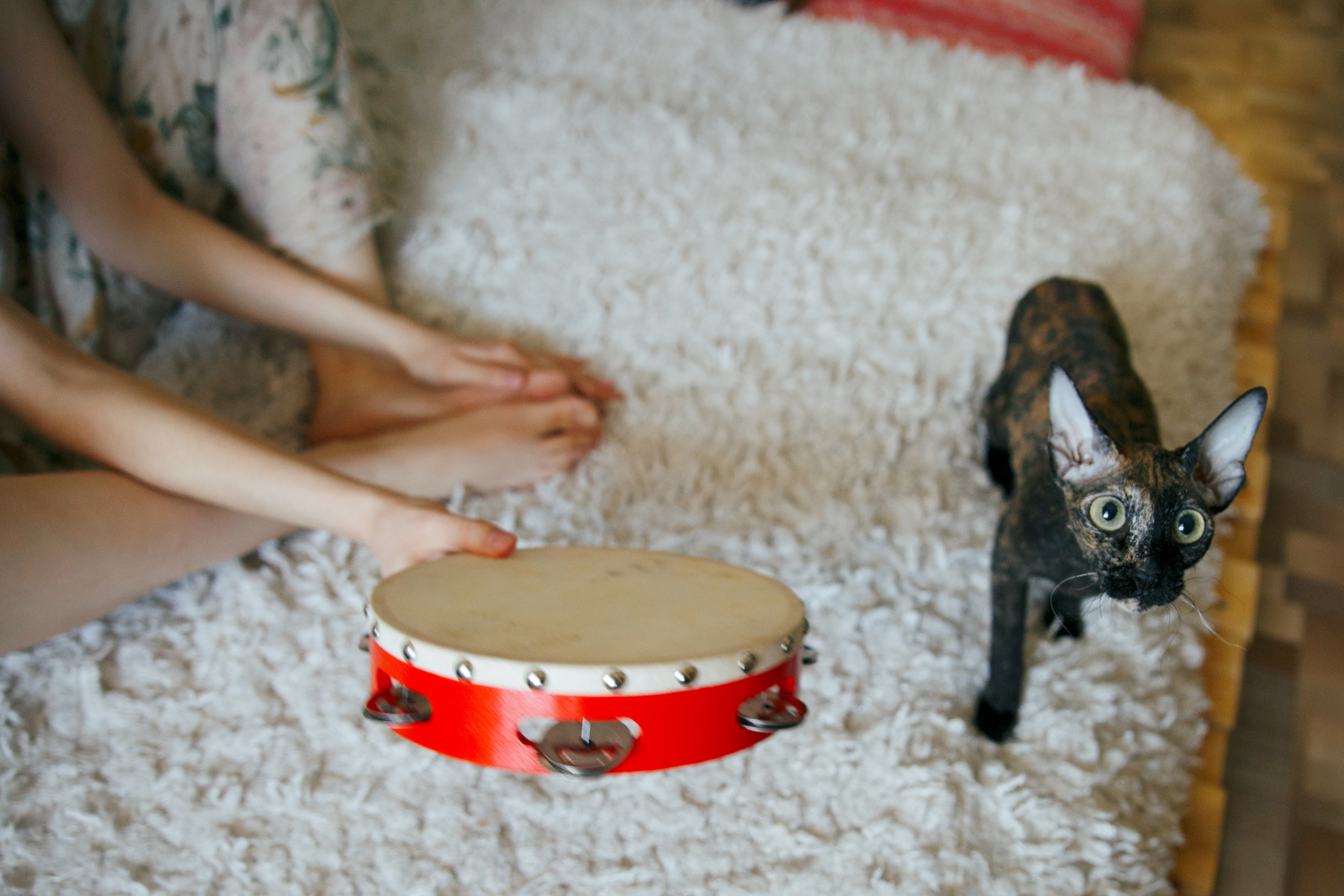 Домашние фотосеты. Марина Соколова. Контентный и семейный фотограф г. Красноярск