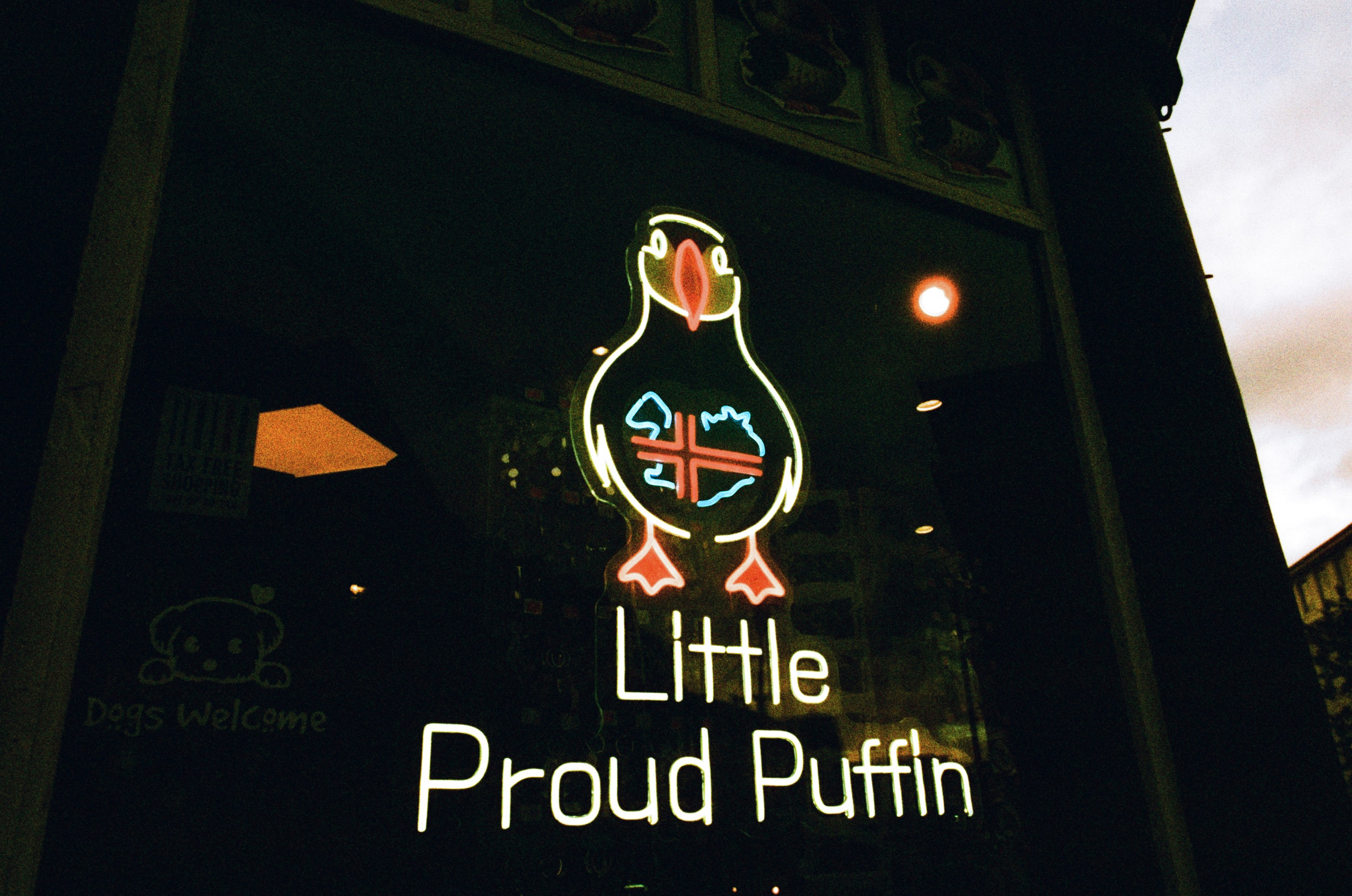 Run no more // iceland, reykjavik. EVER EXPOSED