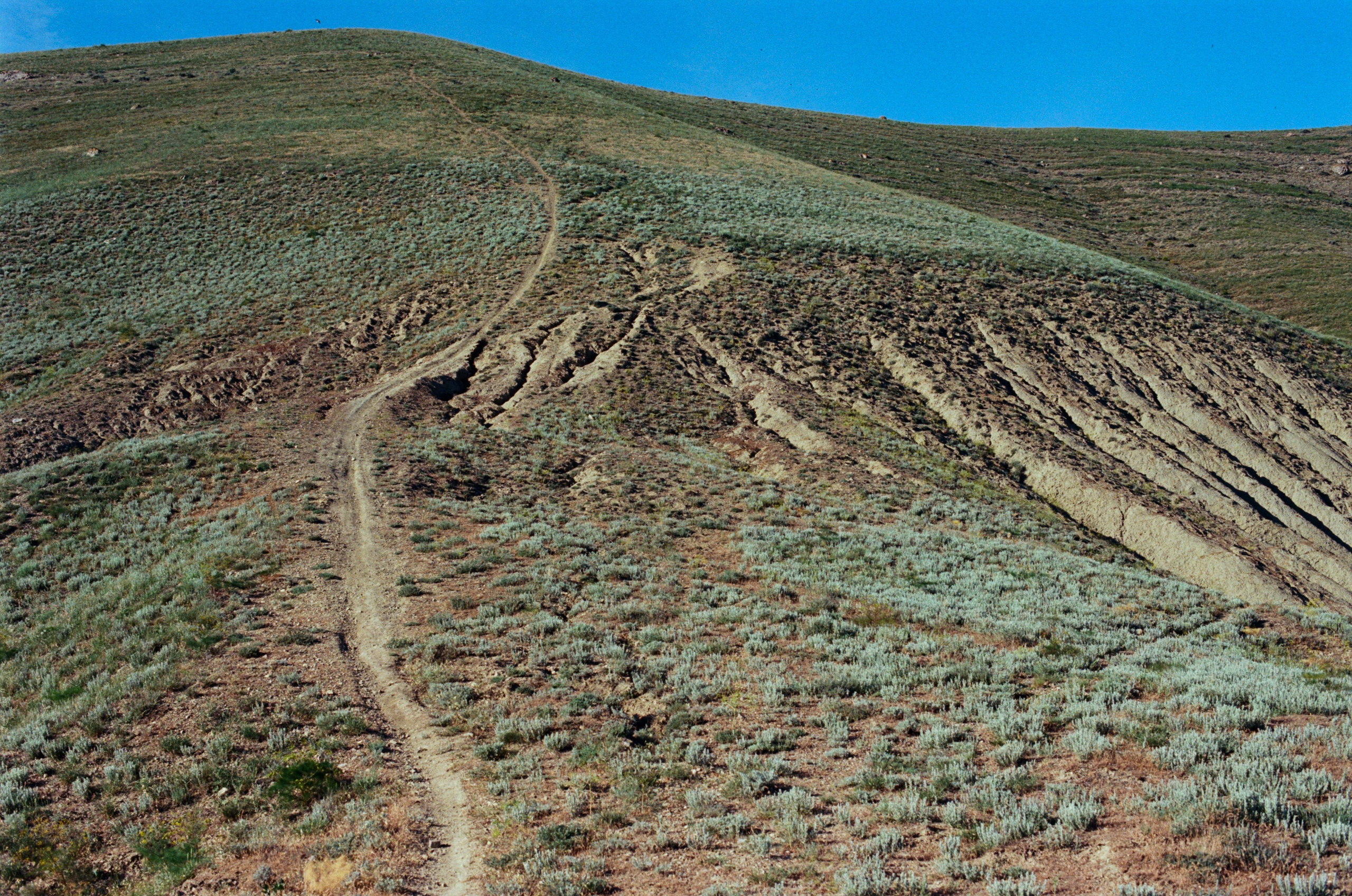 Kool-aid // ukraine, crimea III. EVER EXPOSED
