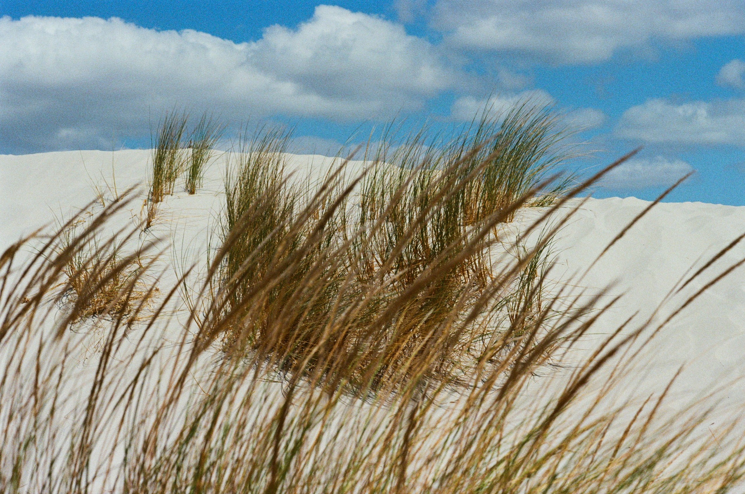 Coraline // sardinia, is arenas biancas II. EVER EXPOSED