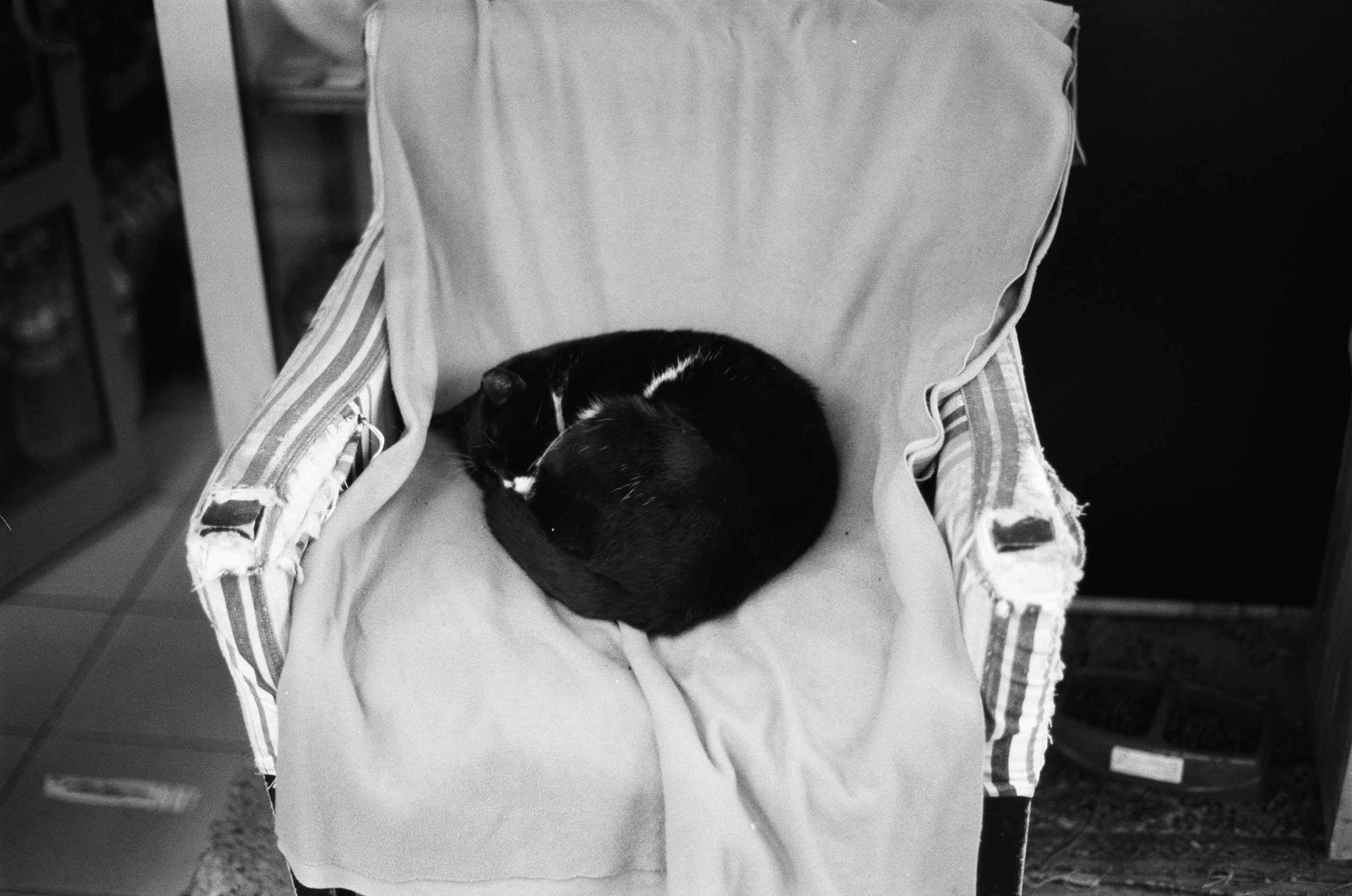 Complicated // turkey, istanbul VI. EVER EXPOSED