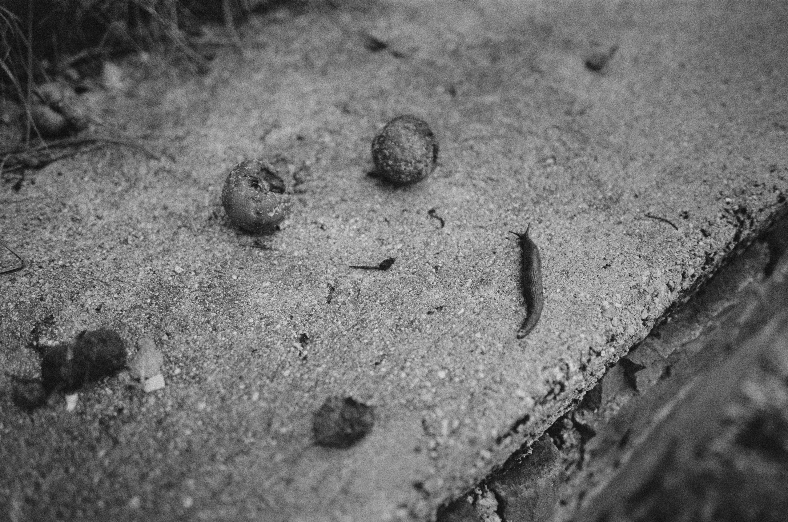 Are you coming // italy, rocca pietore. EVER EXPOSED