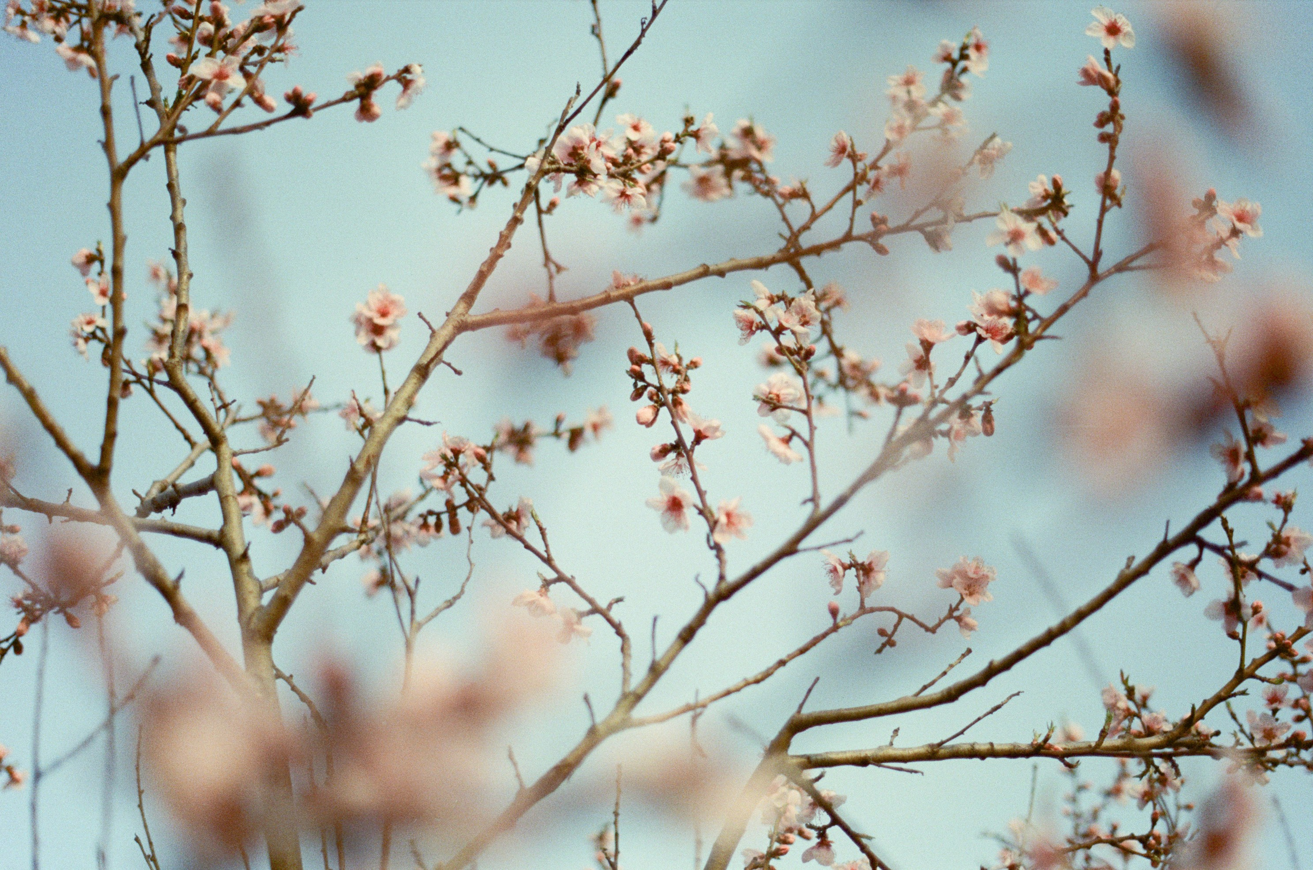 Some kind of madness // ukraine, crimea IV. EVER EXPOSED