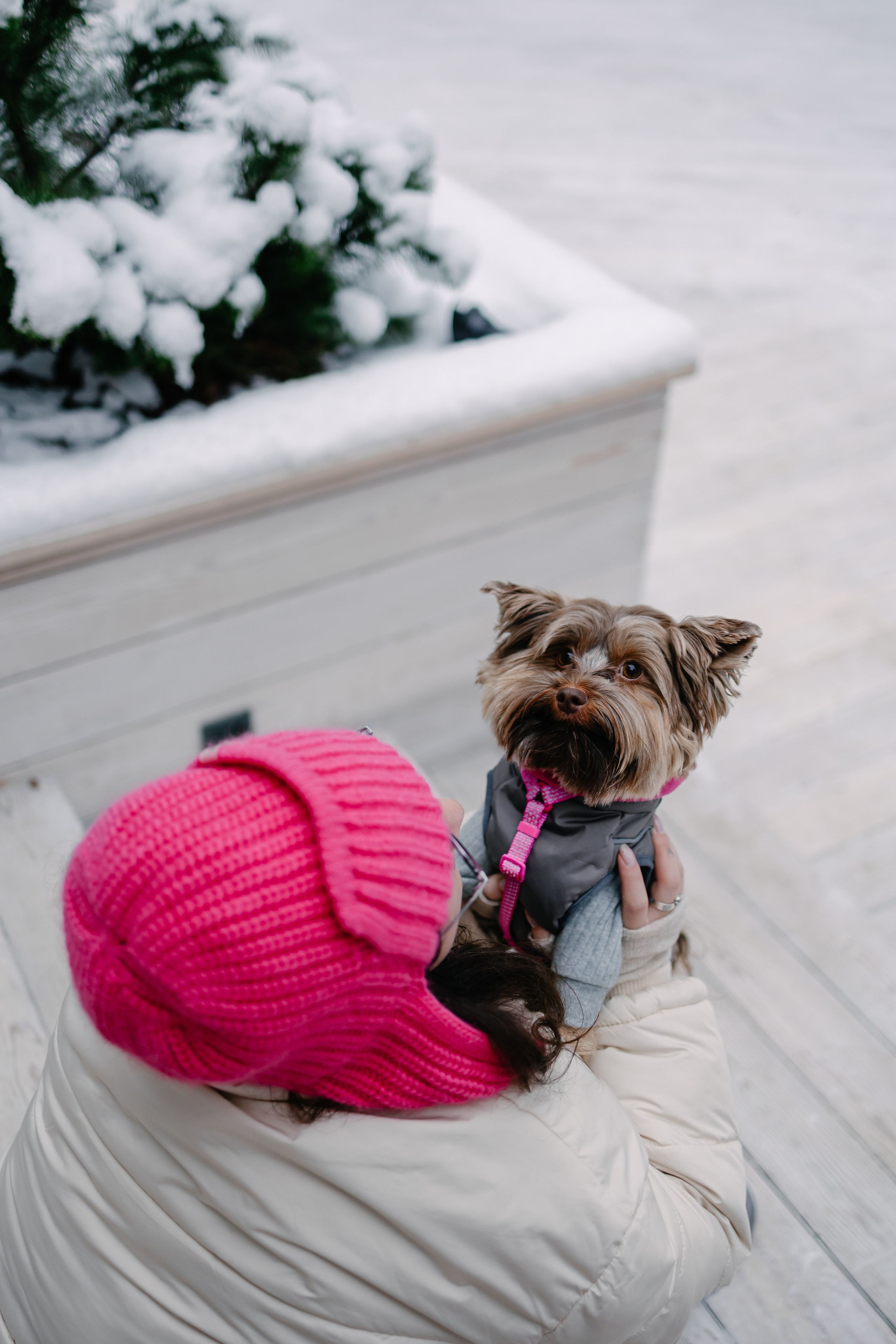 Лиза и Рикки. Фотограф-анималист в Санкт-Петербурге Алина Яхонт