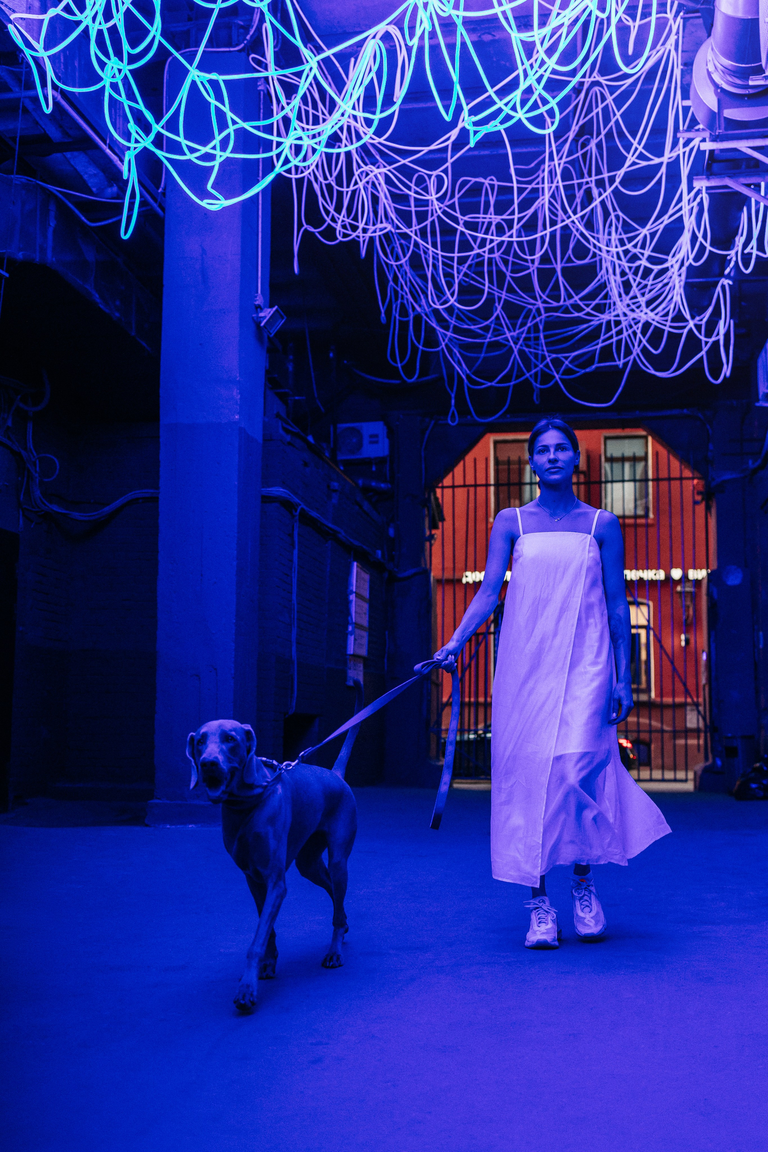 Соня и Майли. Фотограф-анималист Елена Радченко, Москва