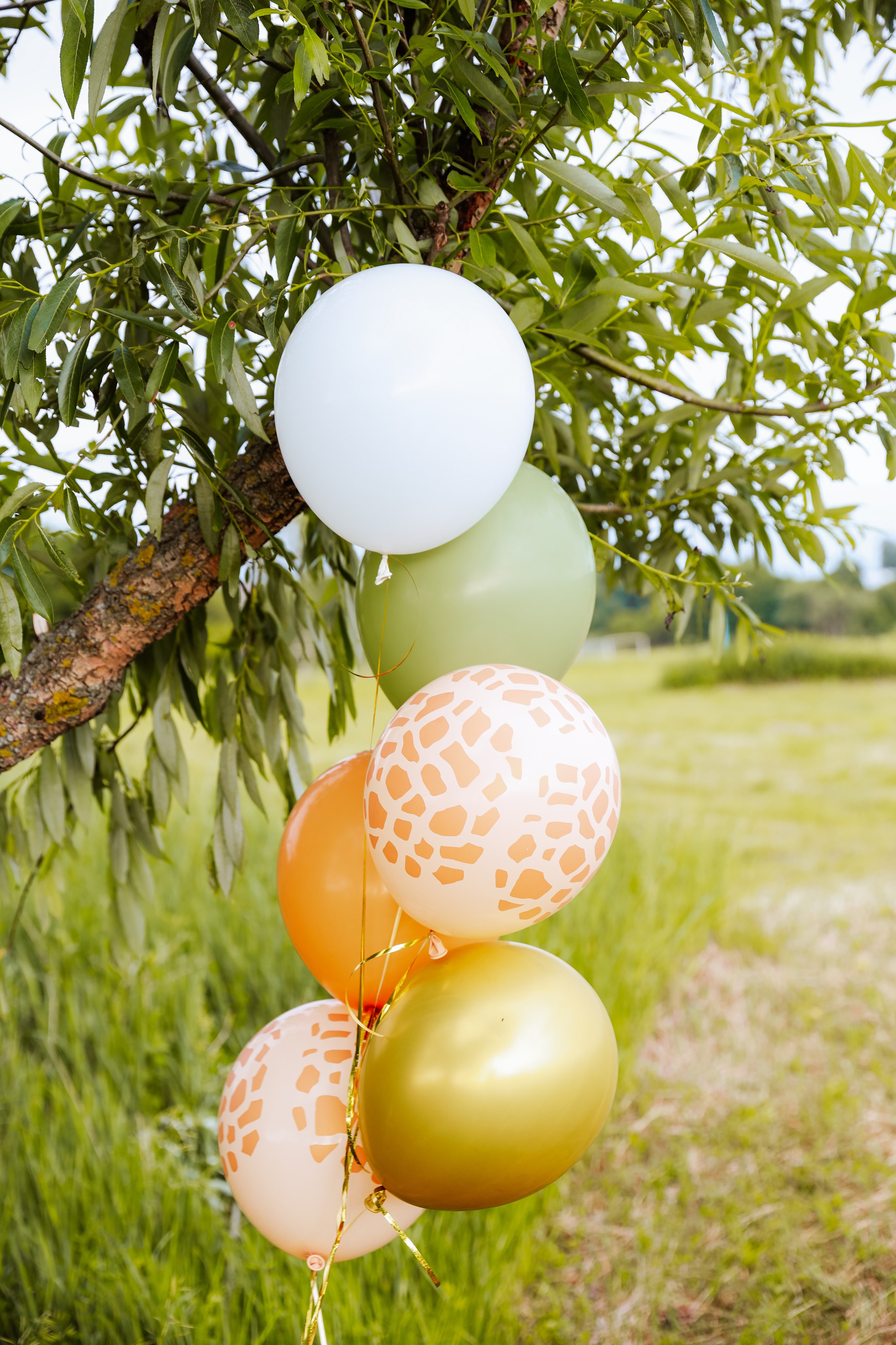 Два годика Юре. Школьный и детский фотограф Старожилово