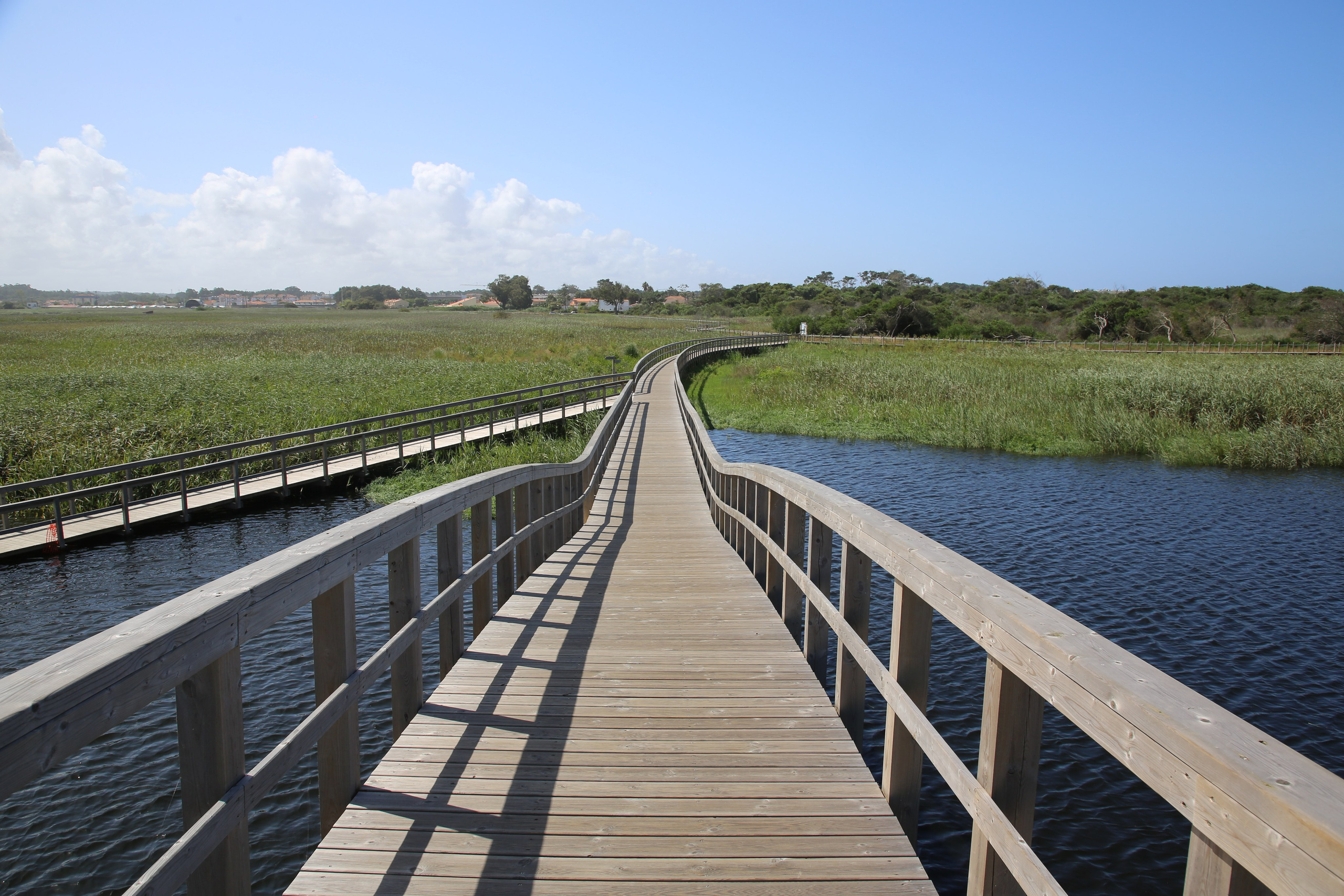 Esmoriz, Portugal. Andrey Filippov Photographer