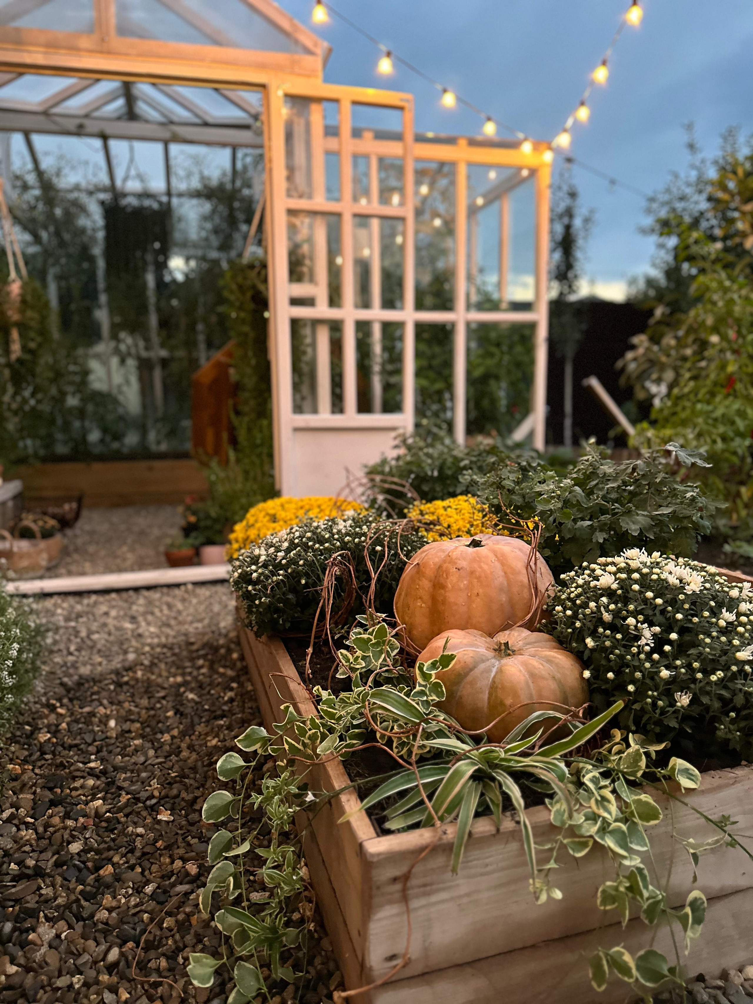 Осенние декорации фотостудии «ТЕПЛИЦА», город Краснодар. Семейный и детский фотограф в Краснодаре Анна Трашкова