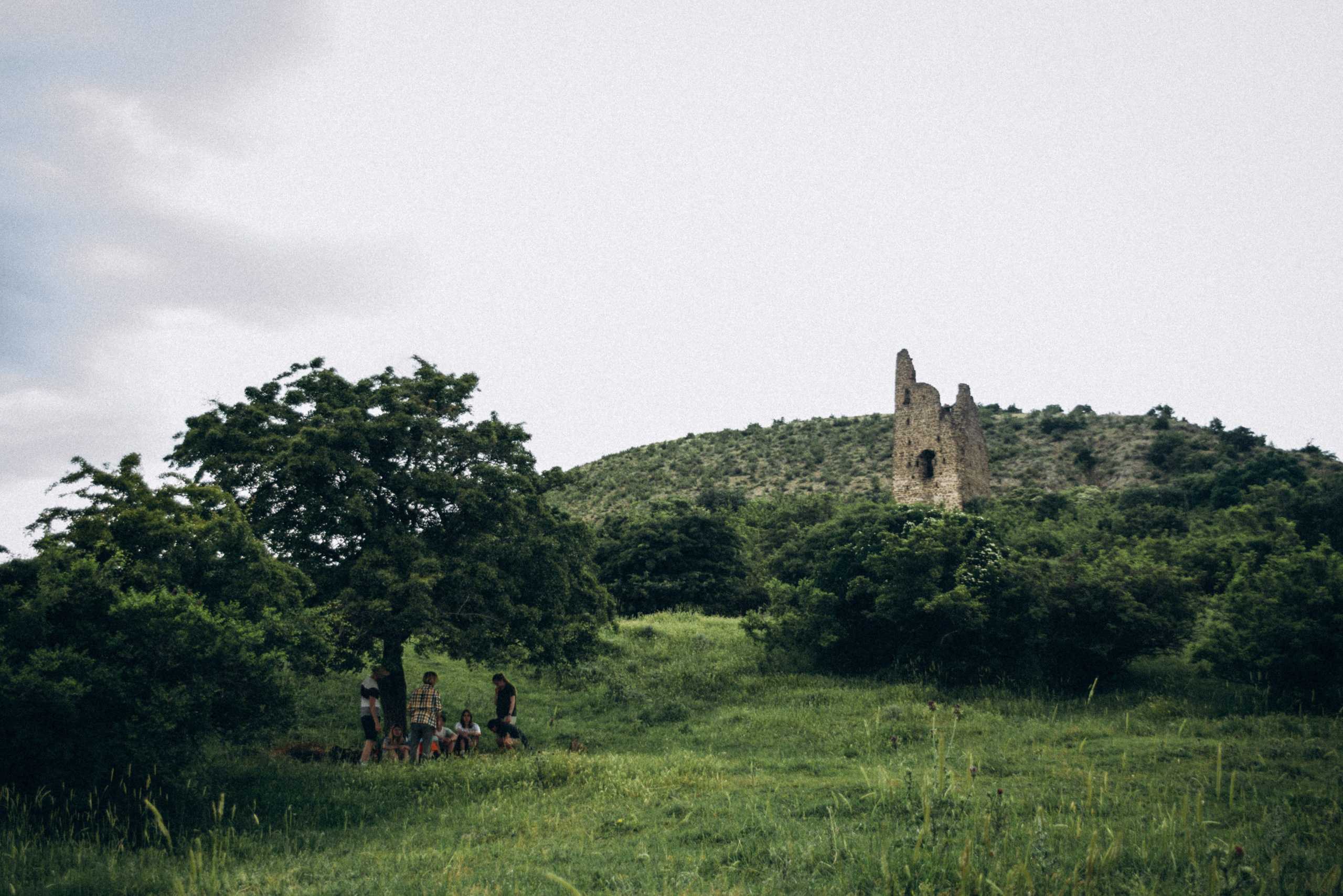 Коджори, Грузия 🇬🇪 «Honey Trip». Anita_photo