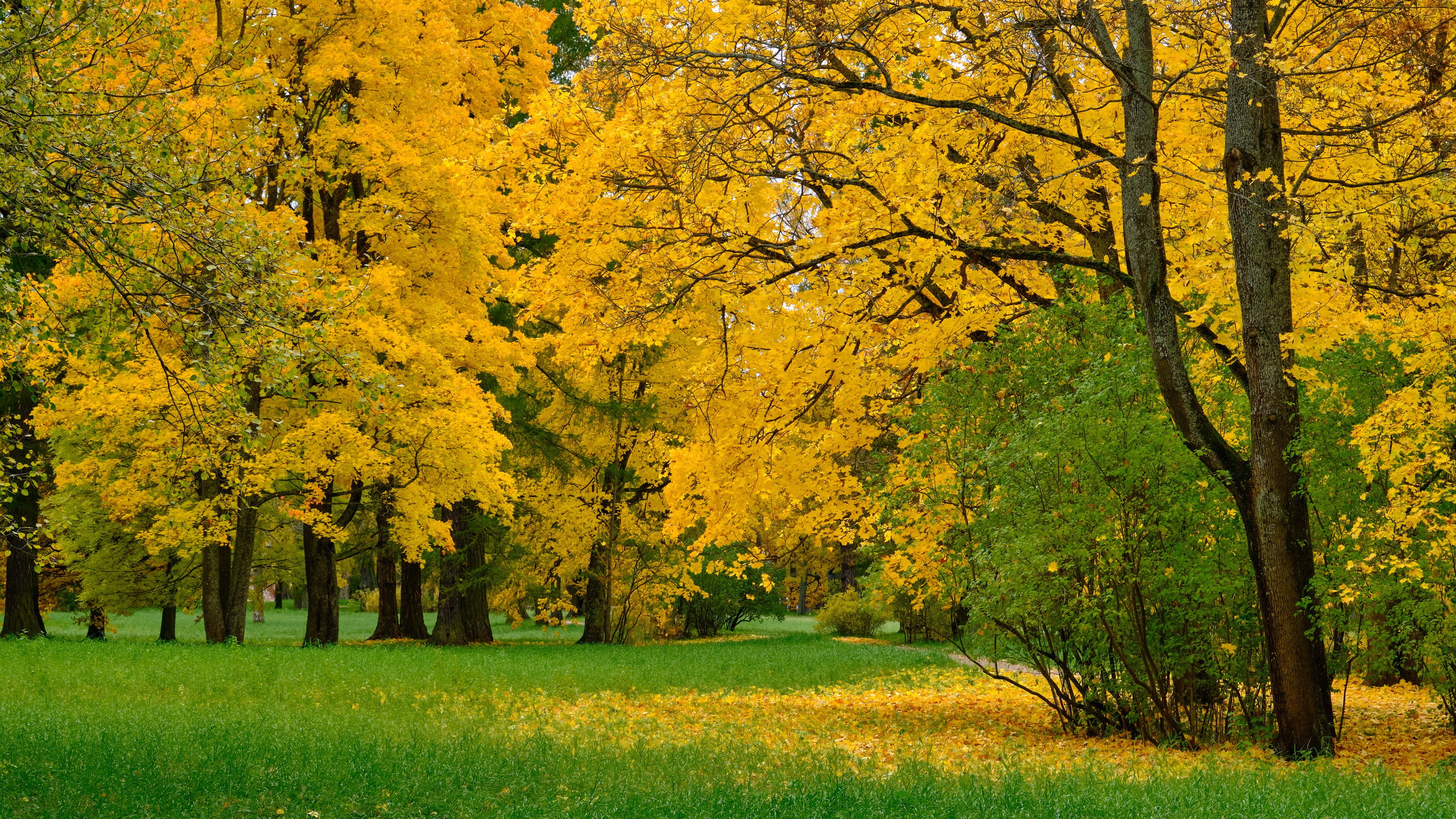 Времена года. Пейзажи Крайнего Севера. Баренцево море, Рыбачий, Средний, Немецкий
