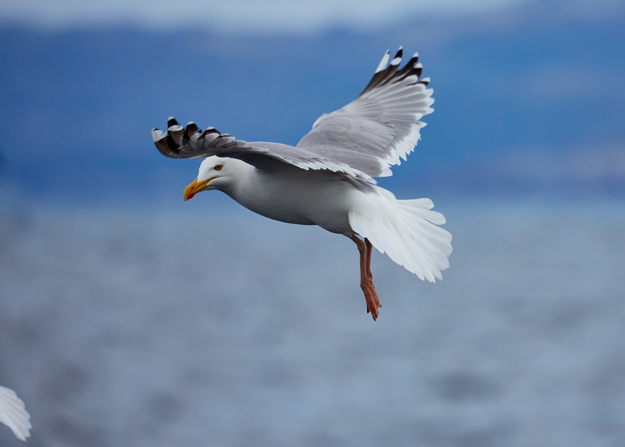 Баренцево море. Пейзажи Крайнего Севера. Баренцево море, Рыбачий, Средний, Немецкий