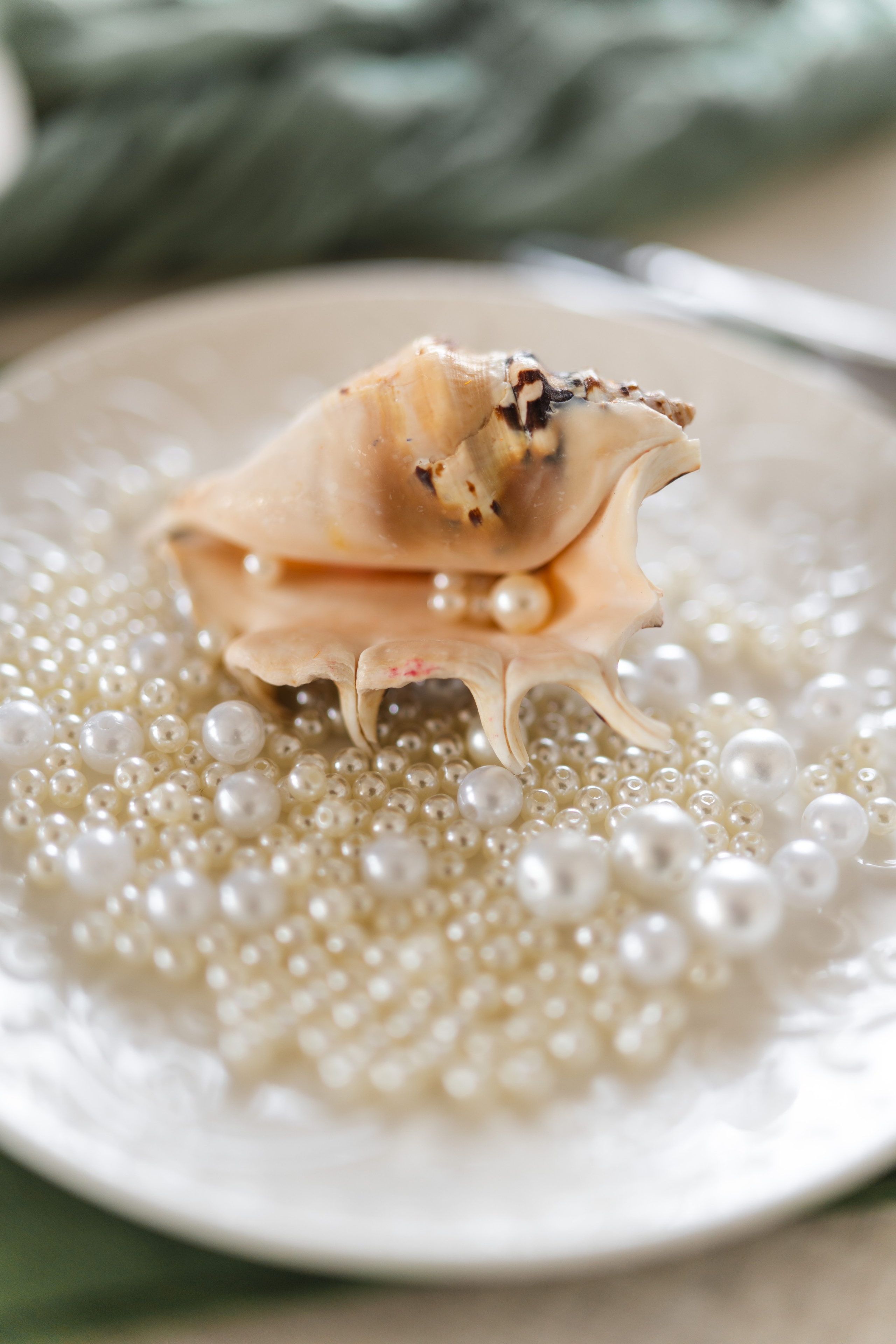 Зал Life фотостудия Импульс. Фотостудия в Саратове. Фотограф в Саратове