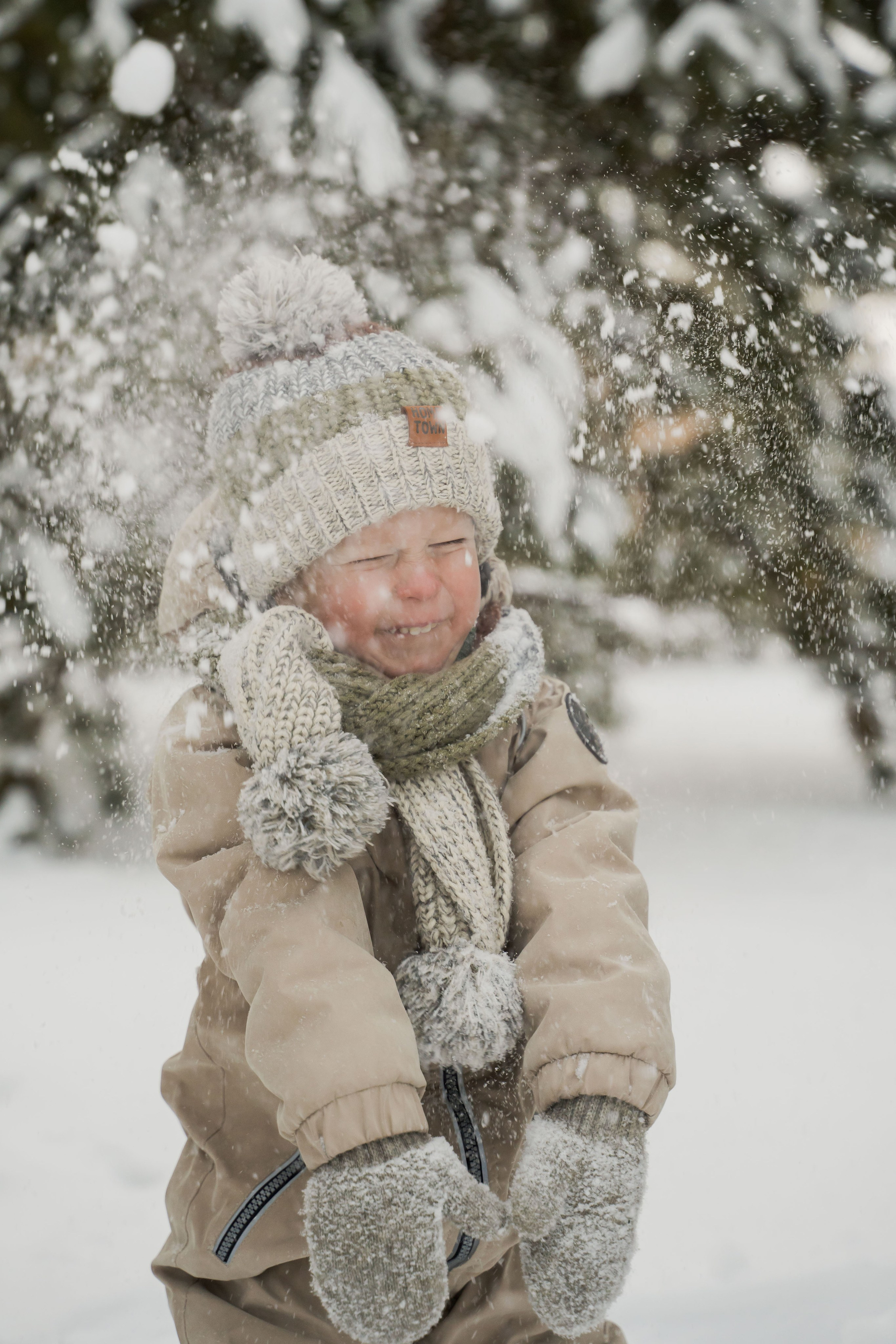 Зимняя прогулка. Главная