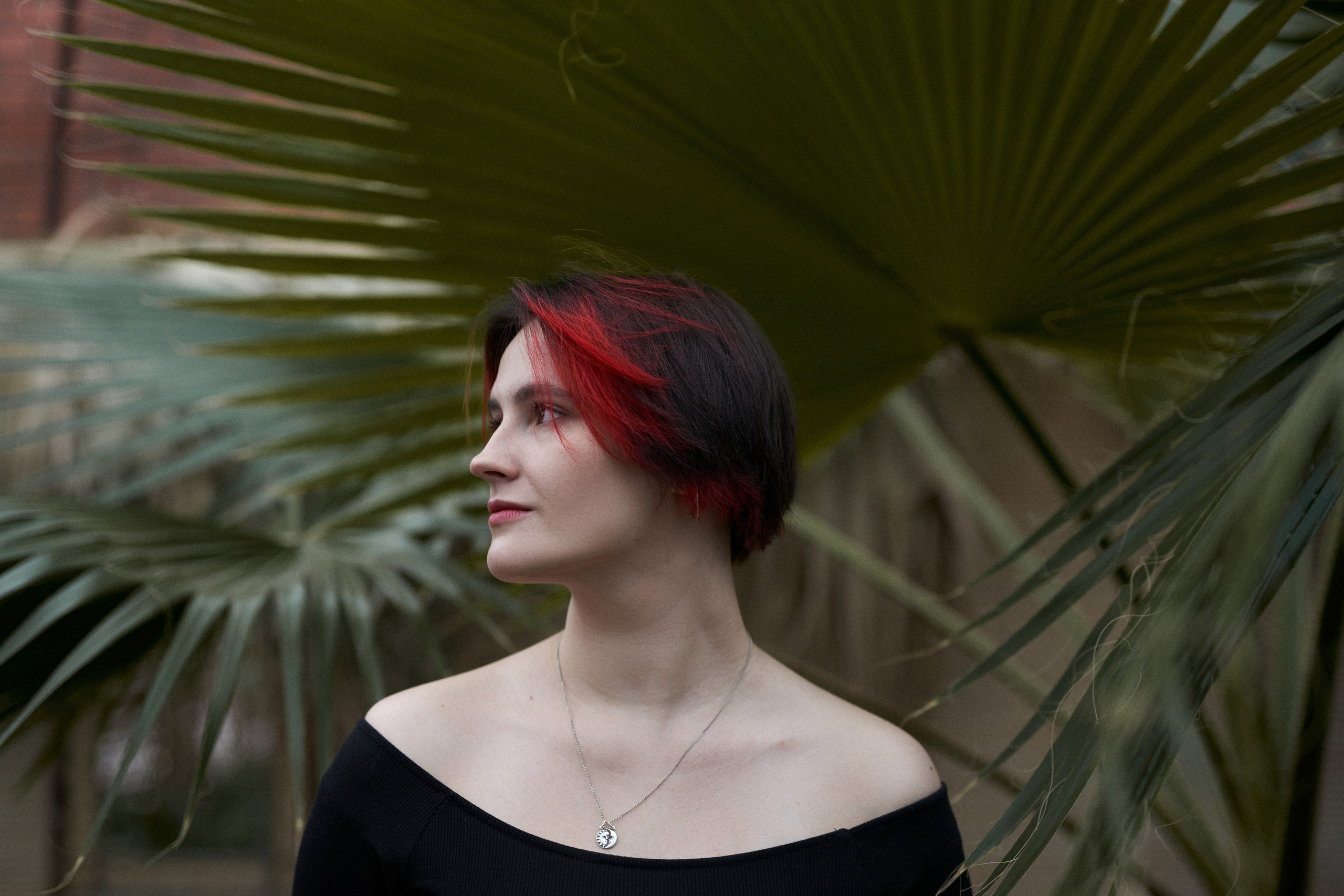 Wild Les. Александр Сазонов Красноярск