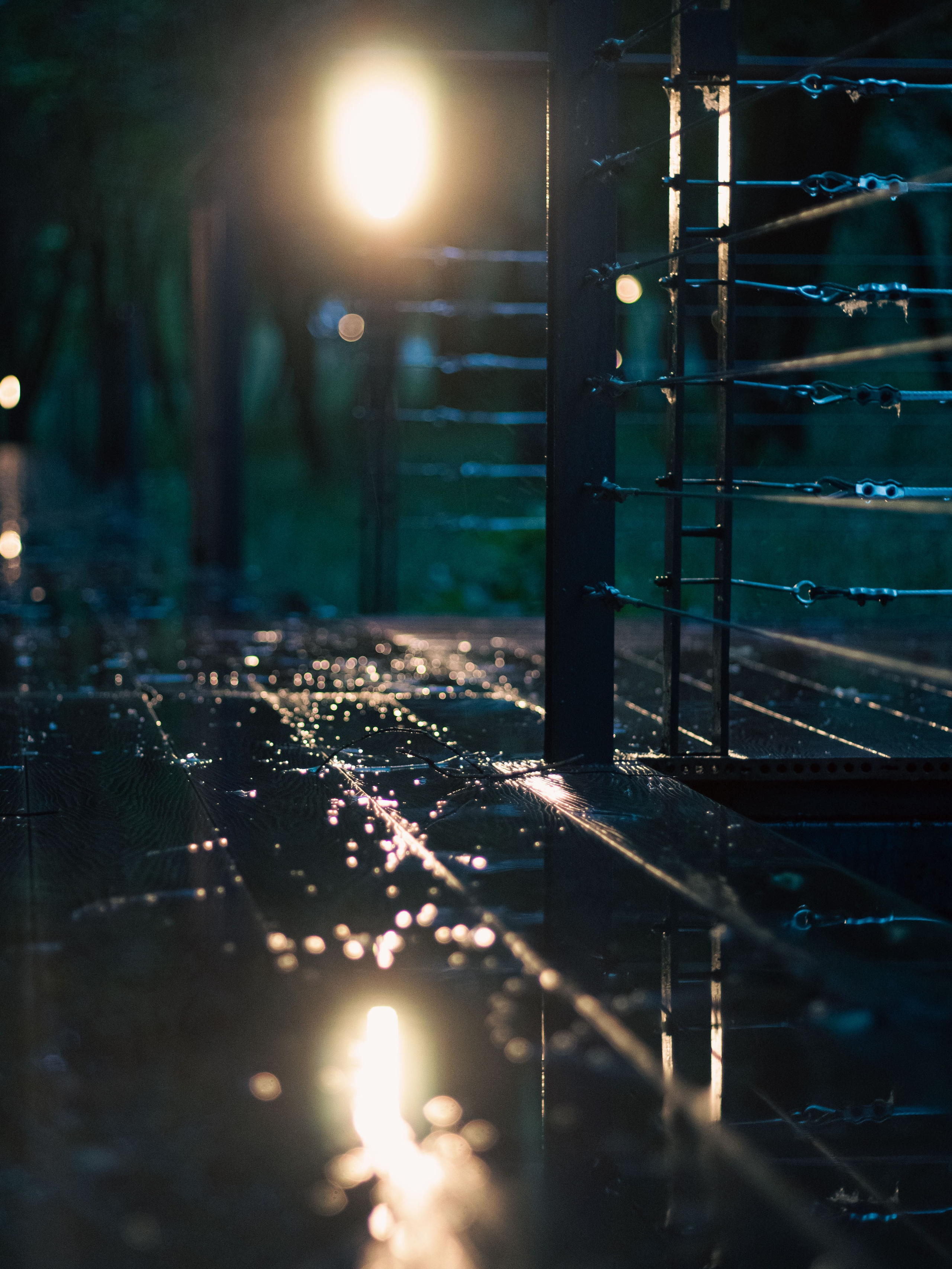 После дождя. Dmitriy [KCCC] is a pretty cool photographer