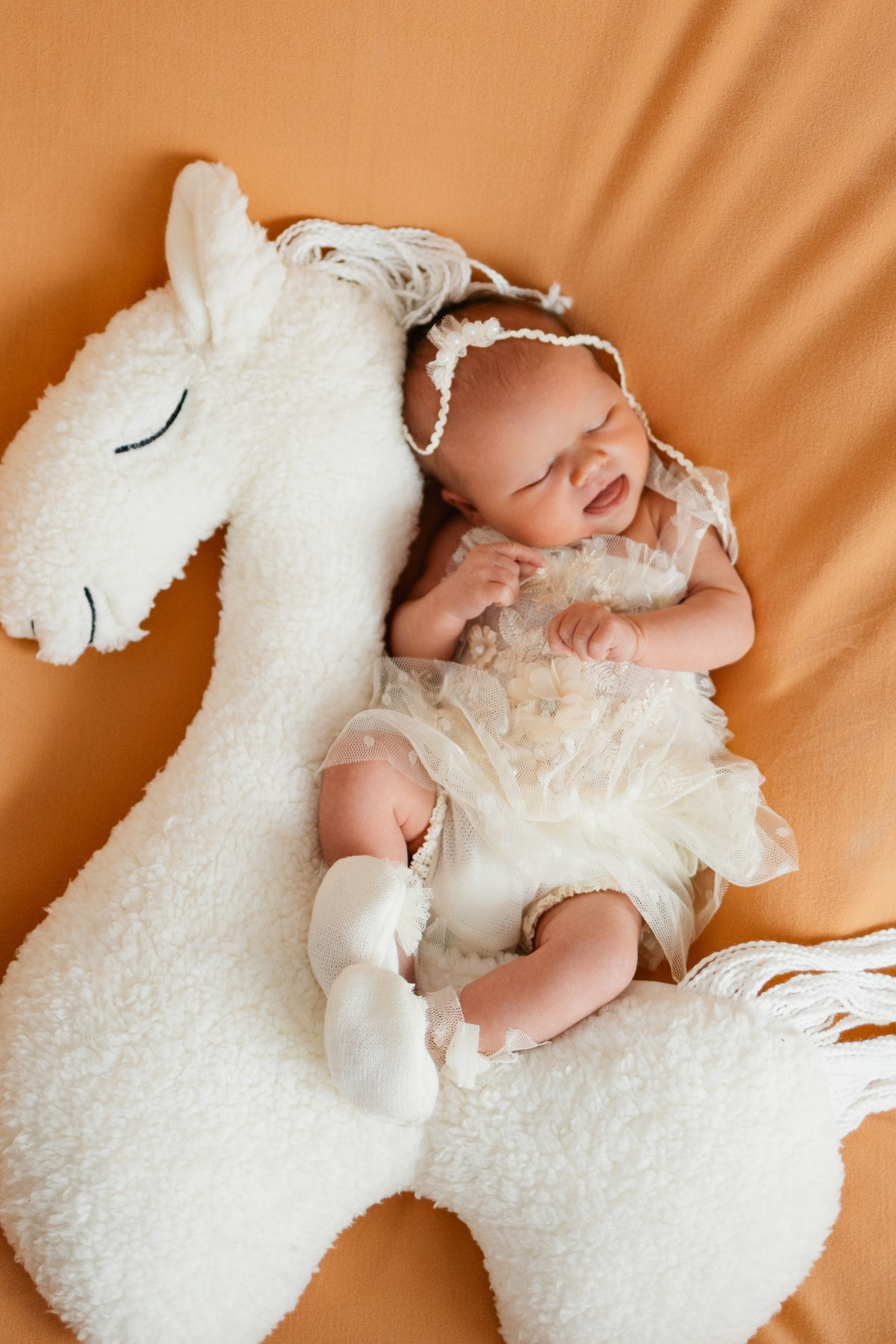 Дашенька. Фотограф новорожденных в Москве и Московской области Наталья Збиглей