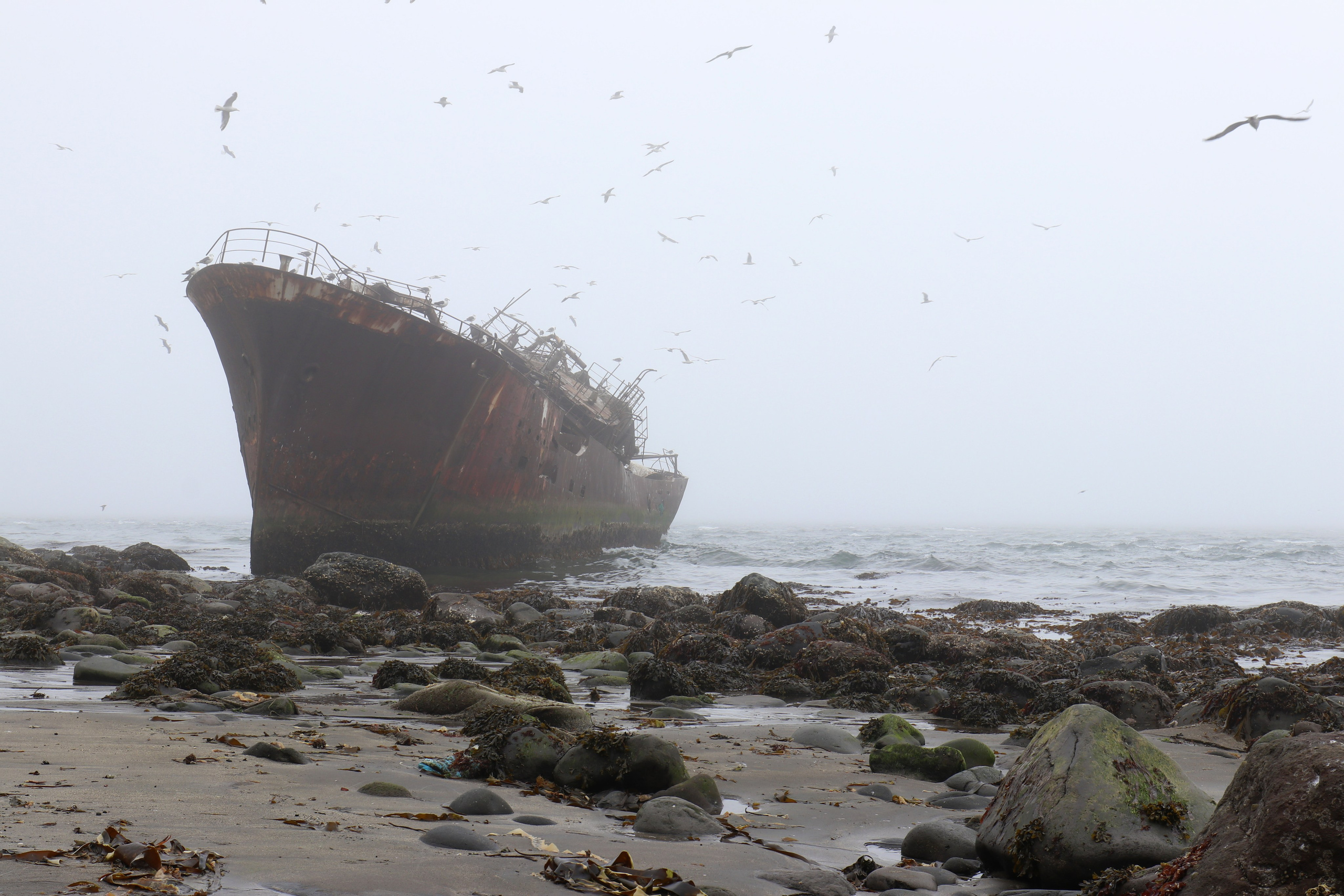 Призрак прошлого...