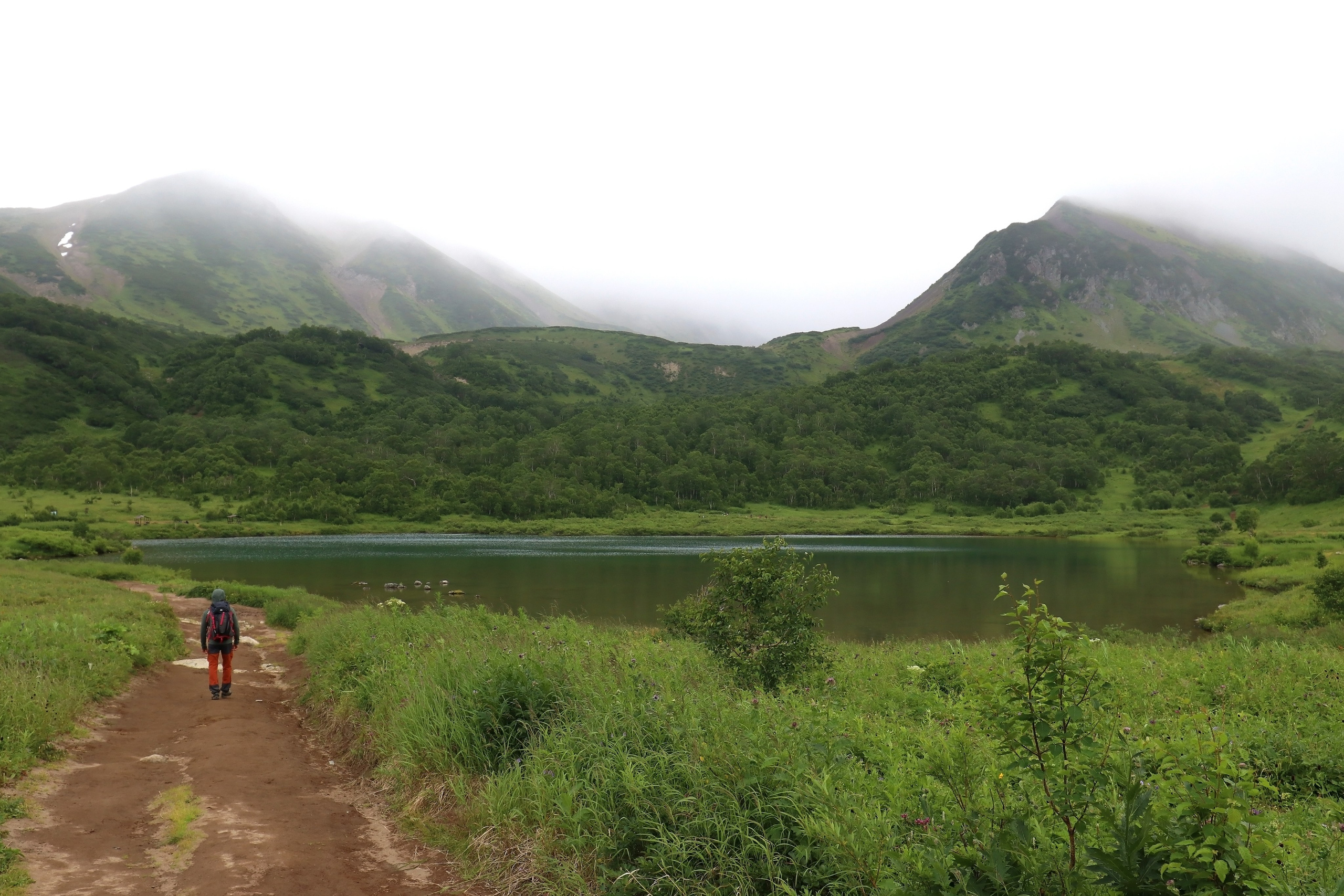 Камчатка и о. Парамушир. Июль 2024. Путешественник-фотограф из Санкт-Петербурга Татьяна Свистулина