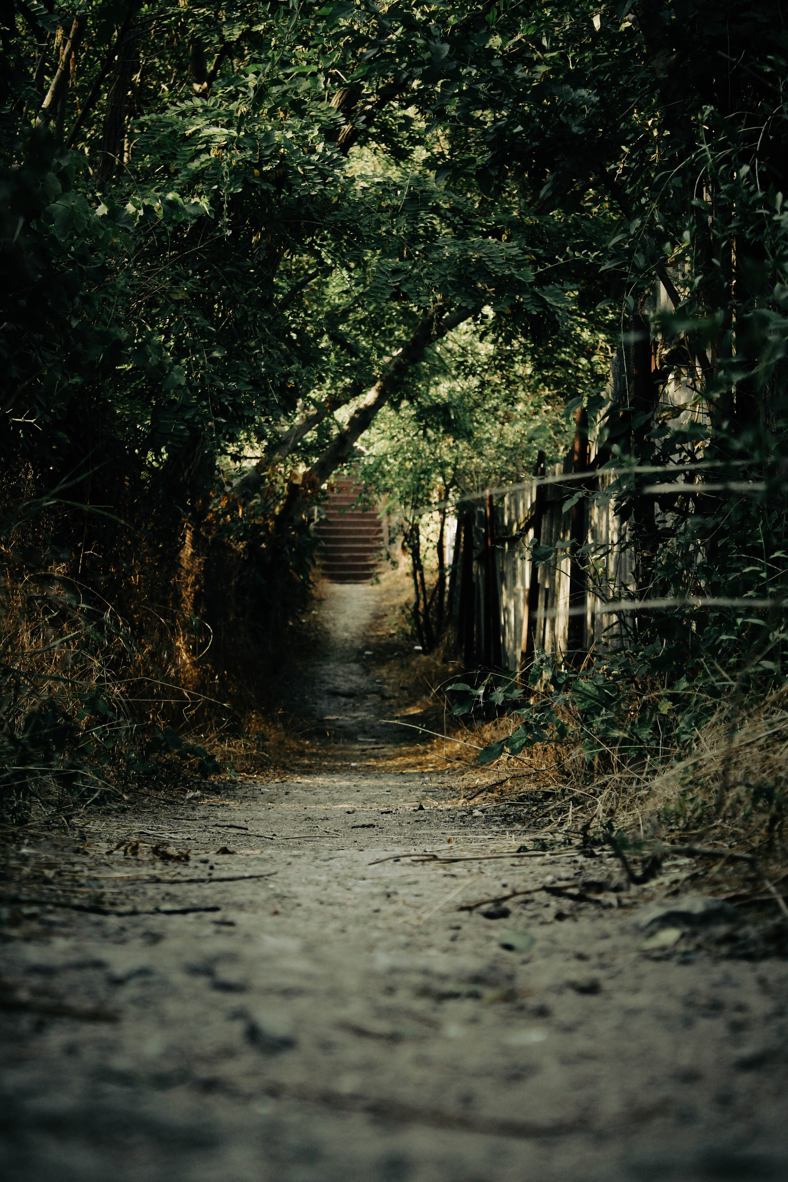 Два поколения. Илья Чемис — Фотограф в Мариуполе