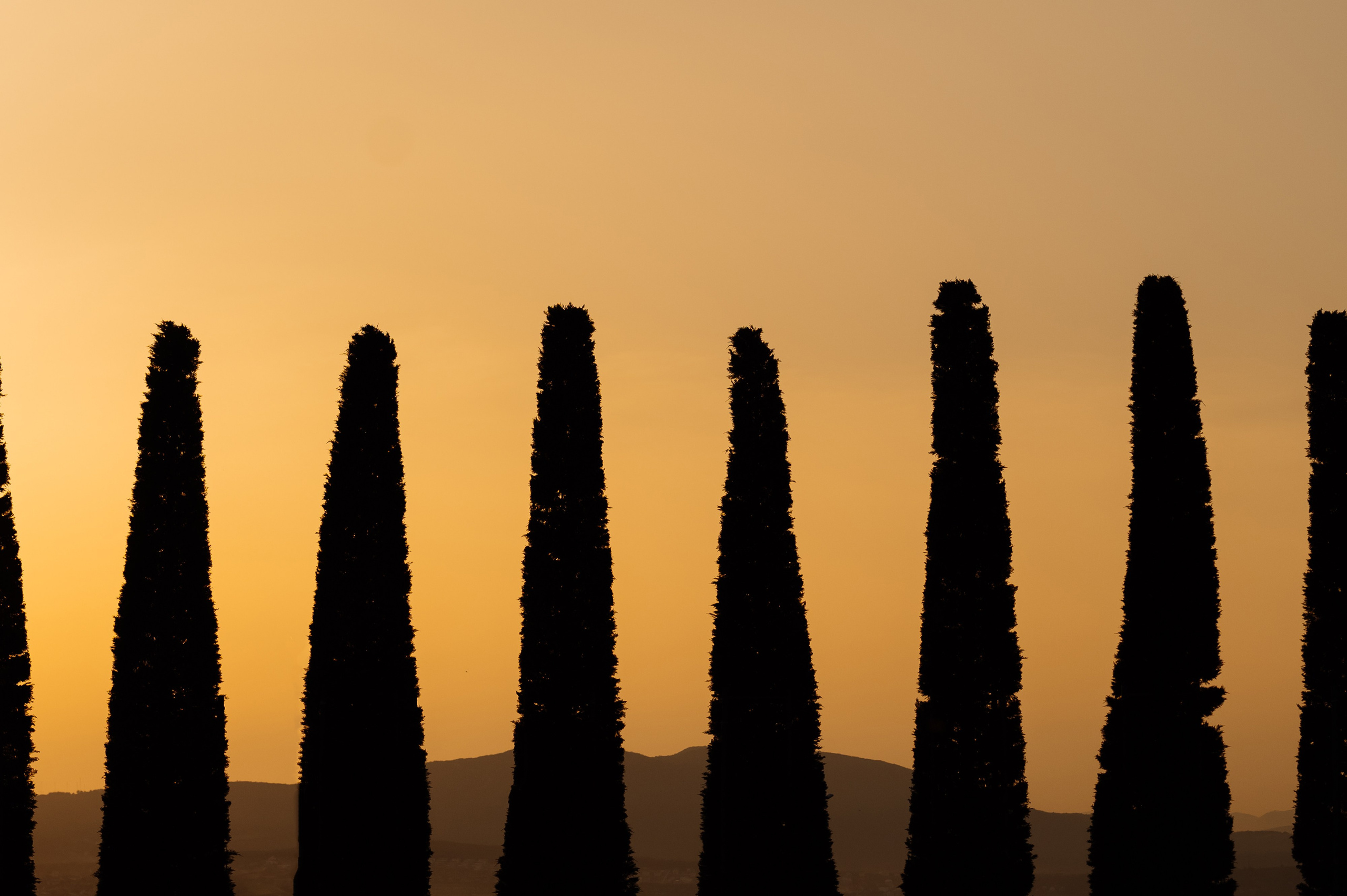 Олег & Татьяна. Главная