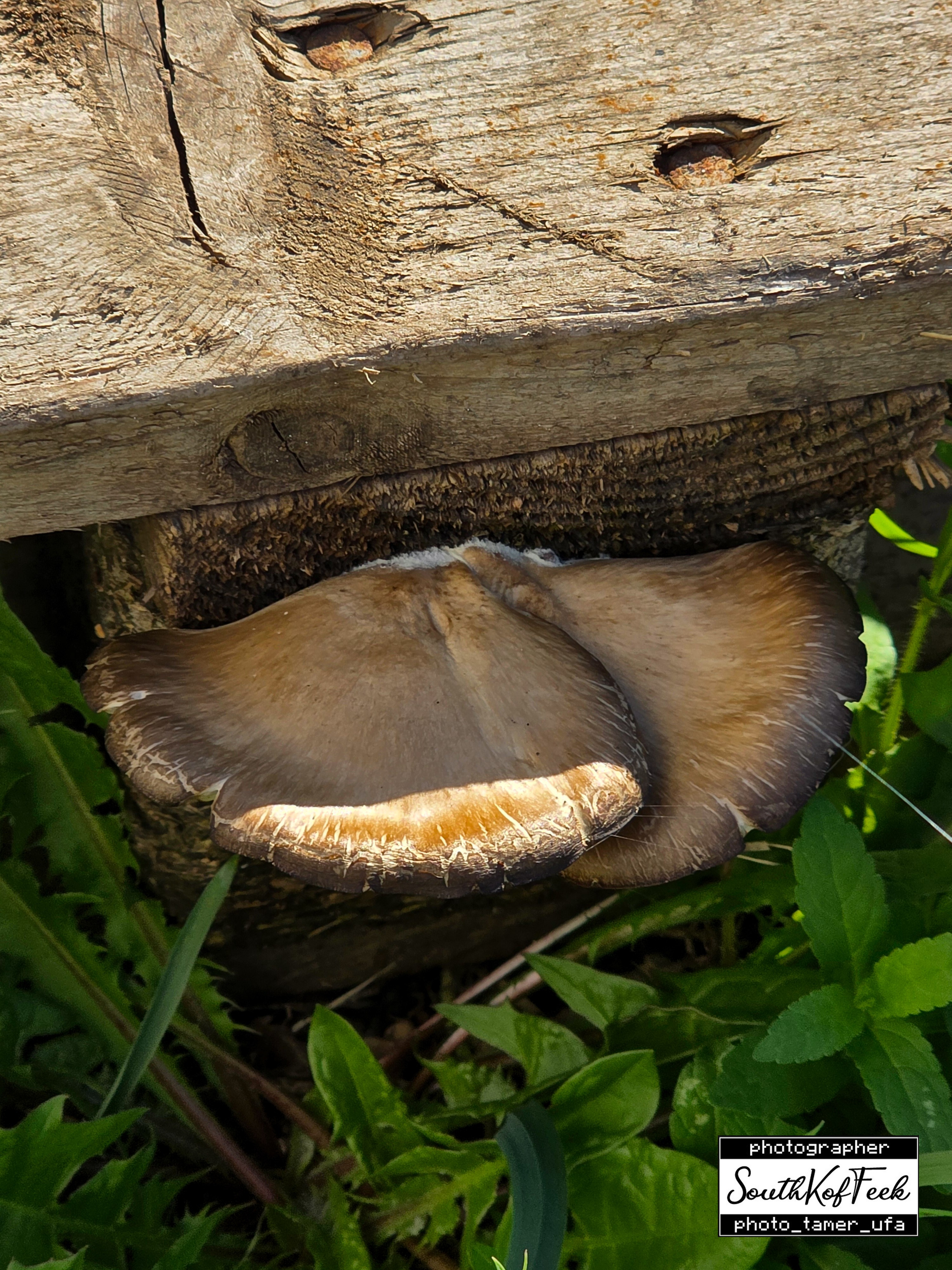 Прочие съемки. Photo Tamer Ufa