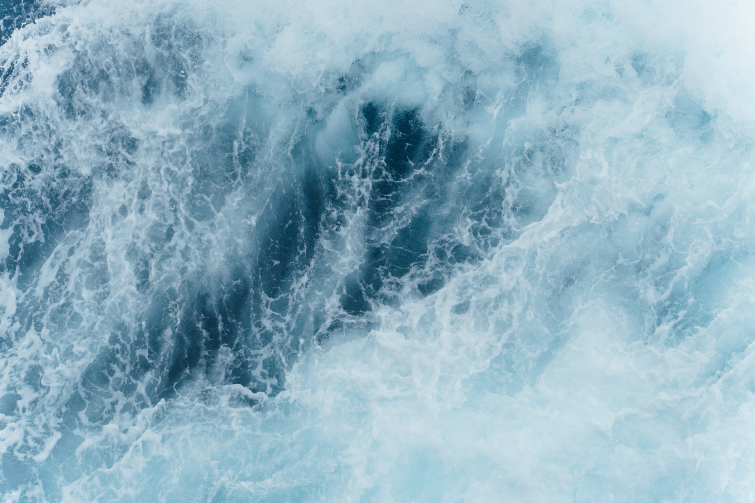 Природа. Медийный светский репортажный фотограф