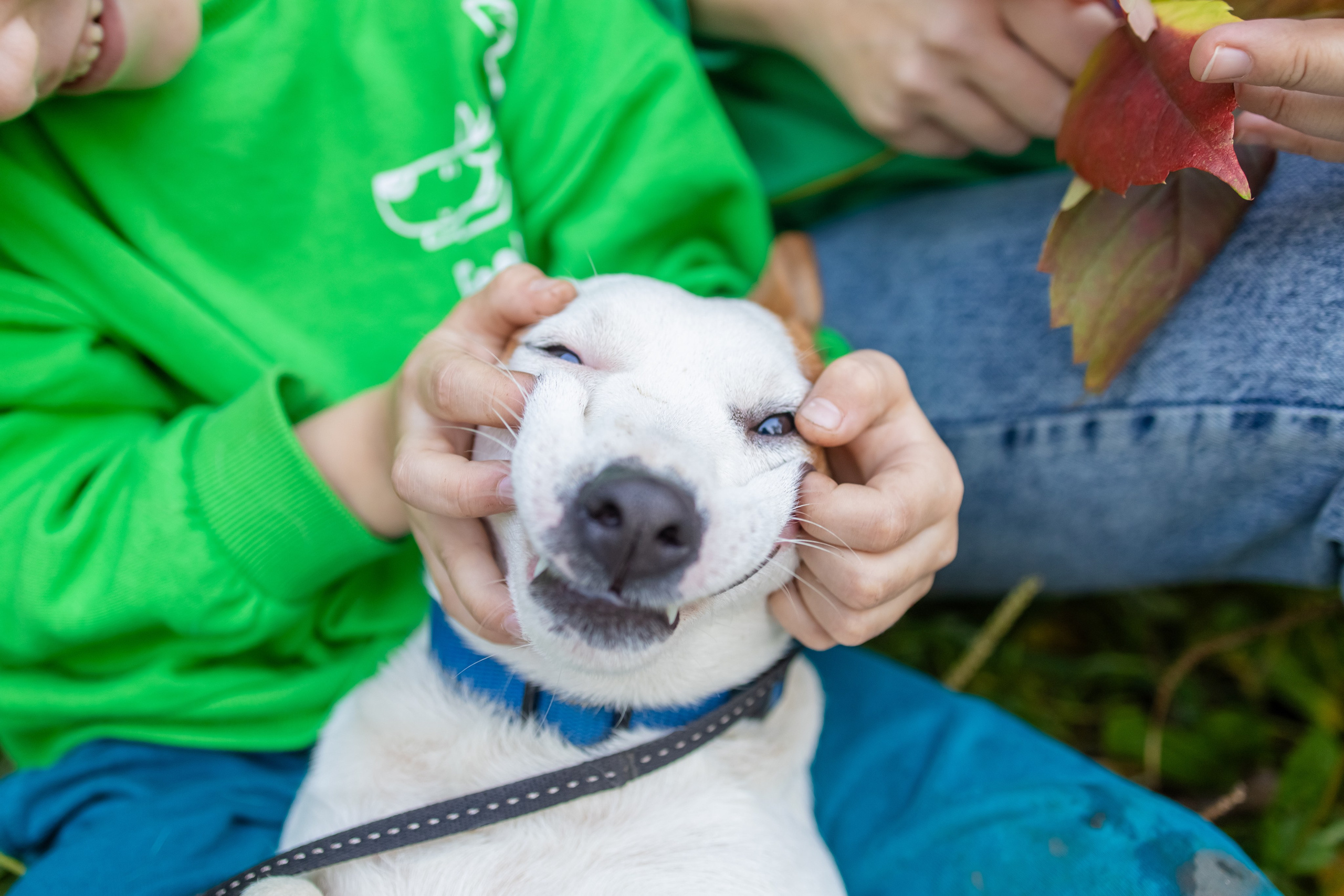 Family. KATERINA VINOKUROVA ФОТОГРАФ ПЕРМЬ