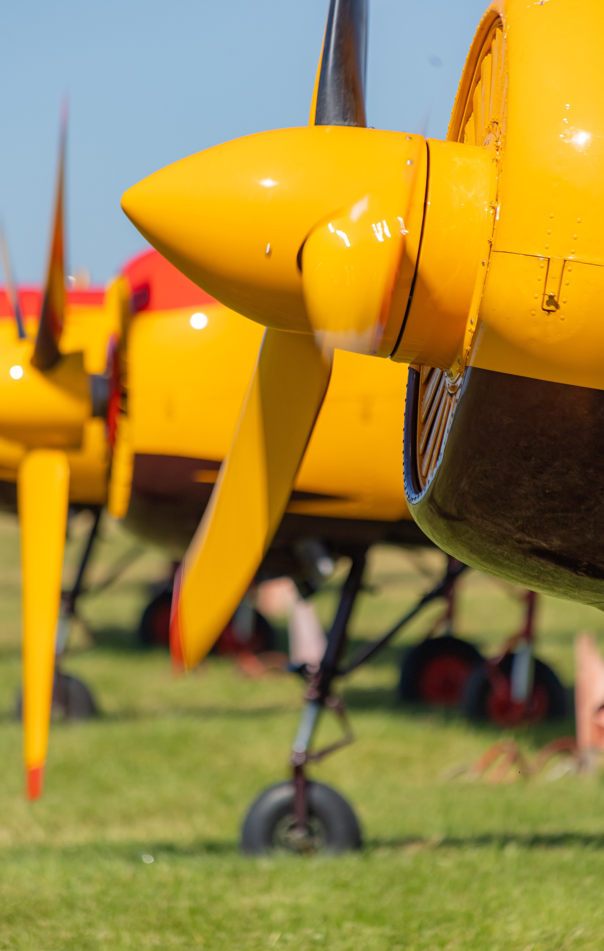 Крылья Пармы 2025 г. KATERINA VINOKUROVA ФОТОГРАФ ПЕРМЬ