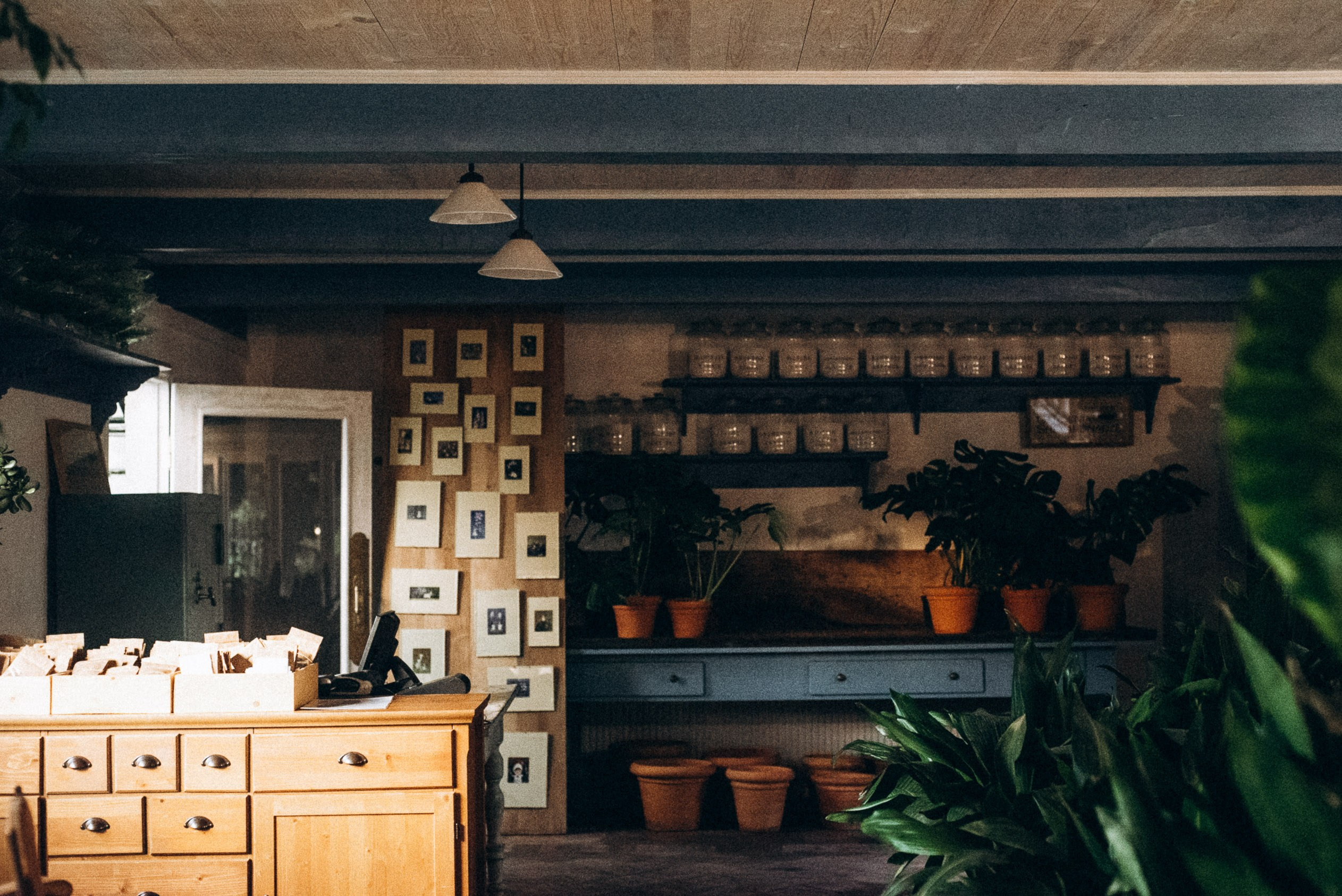 Сад «Гардения» Зураба Шеварднадзе в Тбилиси 🇬🇪. Anita_photo