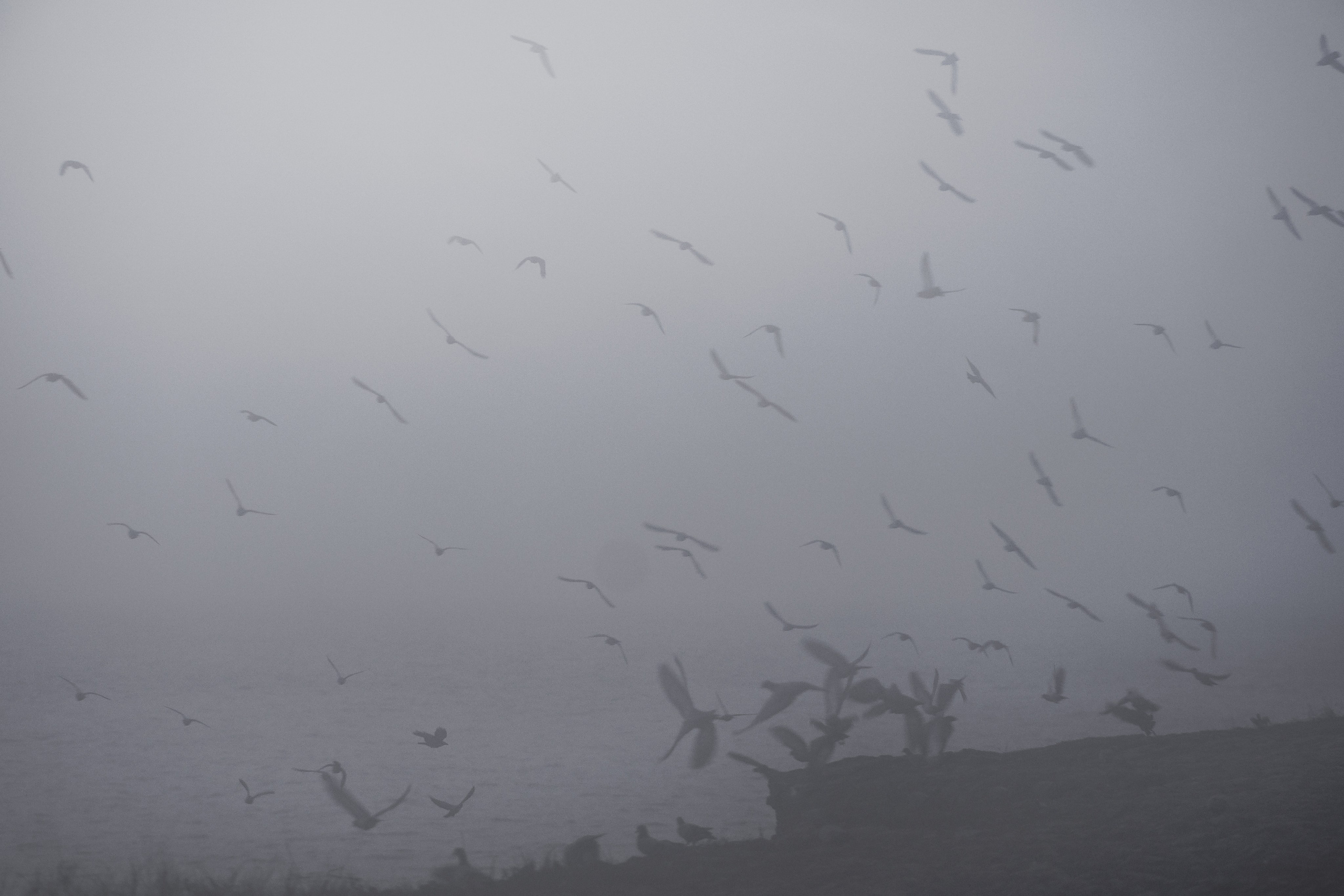 Закат над индийским ландшафтом, документальная пейзажная фотография