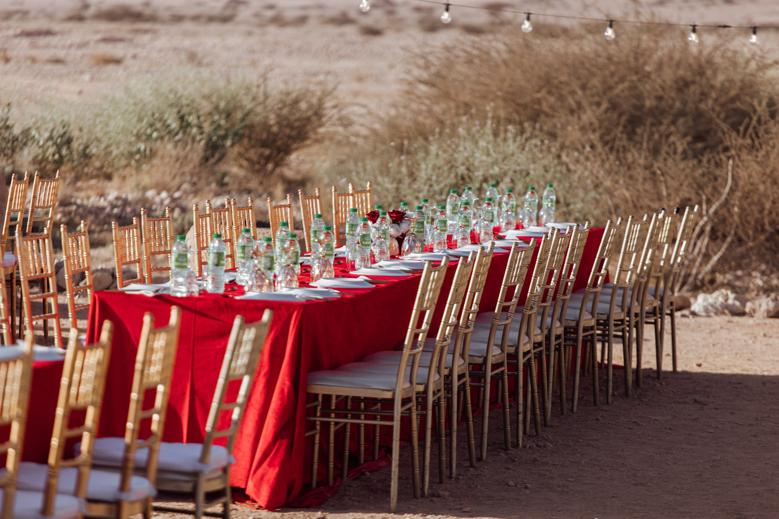 Winds of Culture. MAIN