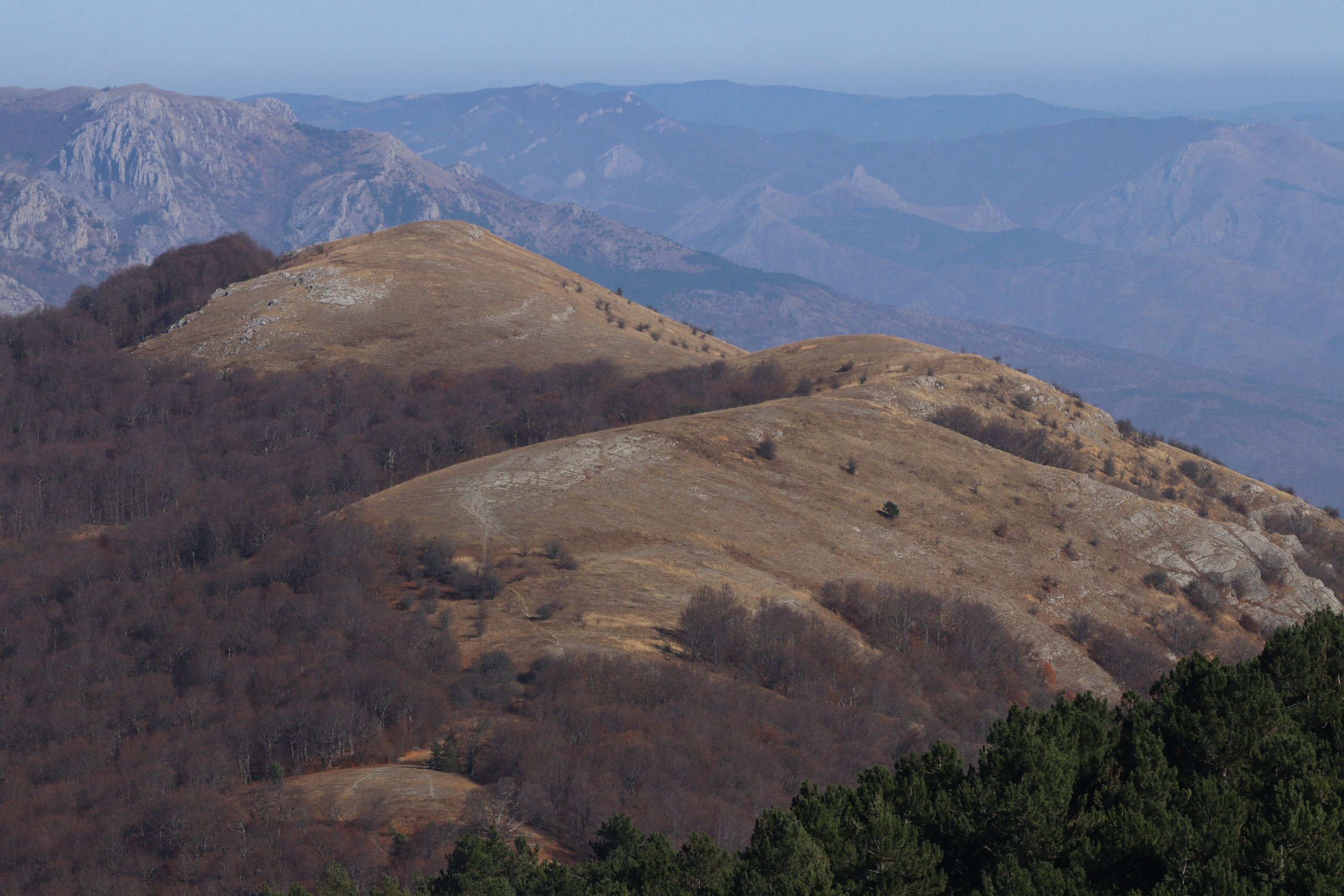 Крым. ЮБК (Гурзуф, Судак и их окрестности). Ноябрь 2023. Путешественник-фотограф из Санкт-Петербурга Татьяна Свистулина