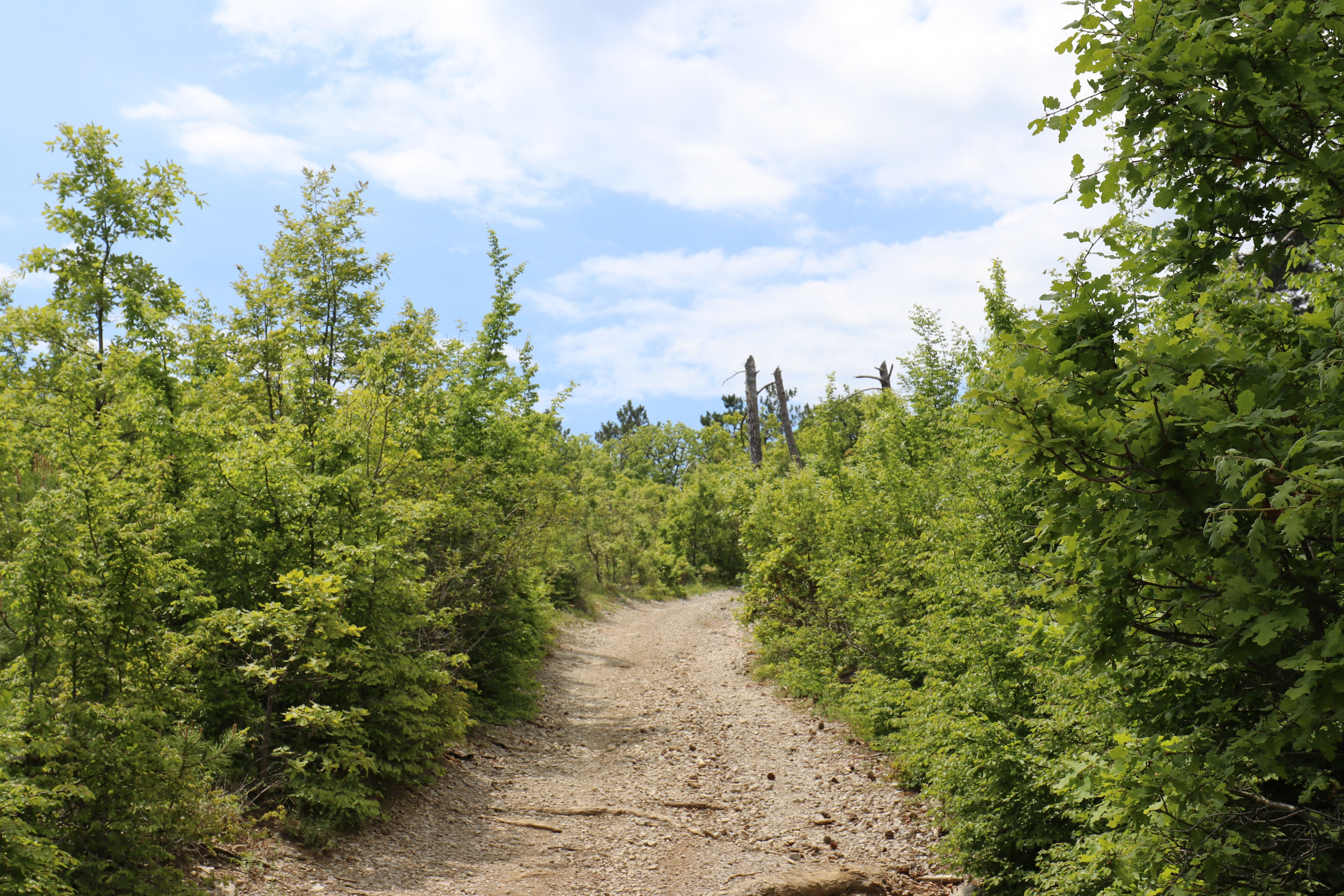 Крым. ЮБК (Бахчисарай, Демерджи, Судак). Первый скалолазный выезд. Май 2019. Путешественник-фотограф из Санкт-Петербурга Татьяна Свистулина