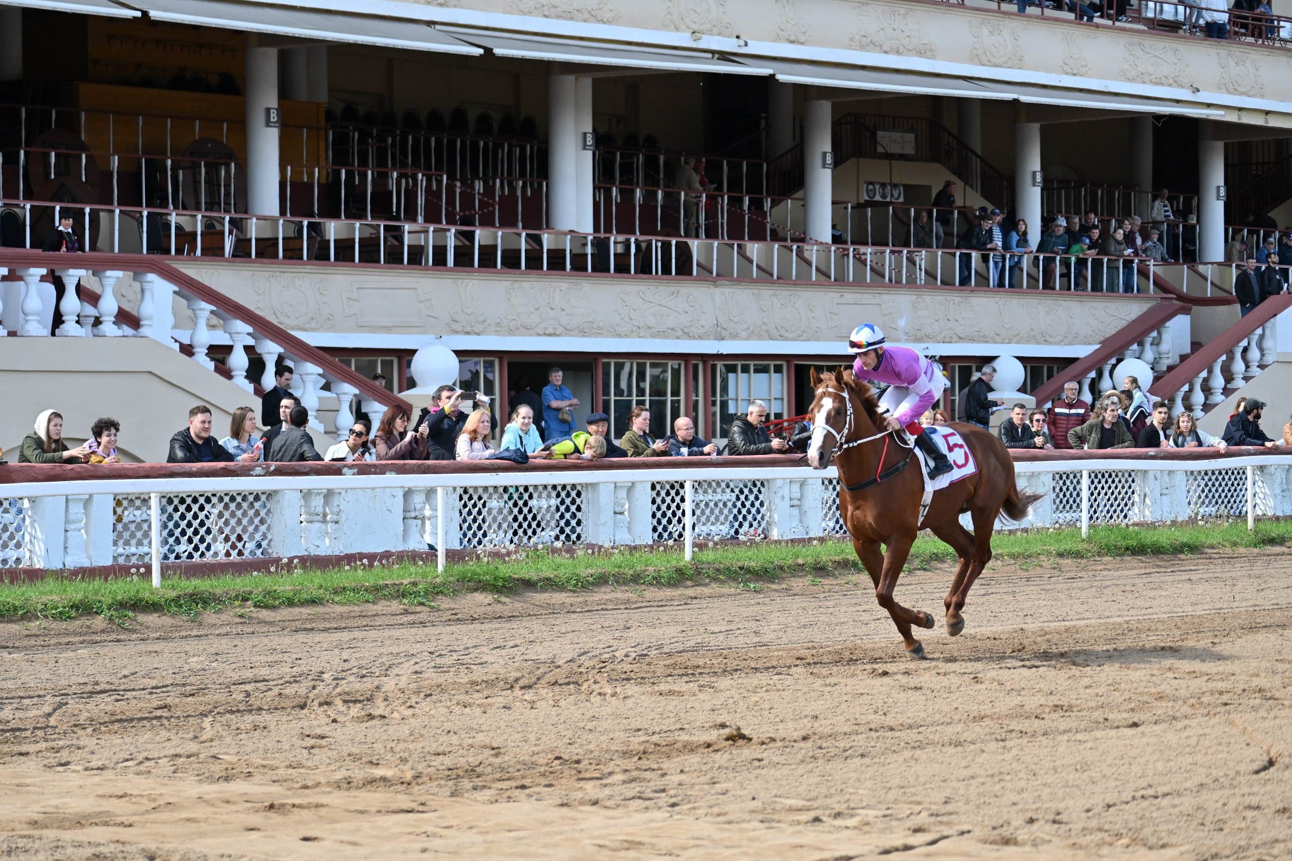 Ипподром (Москва). Fotolux