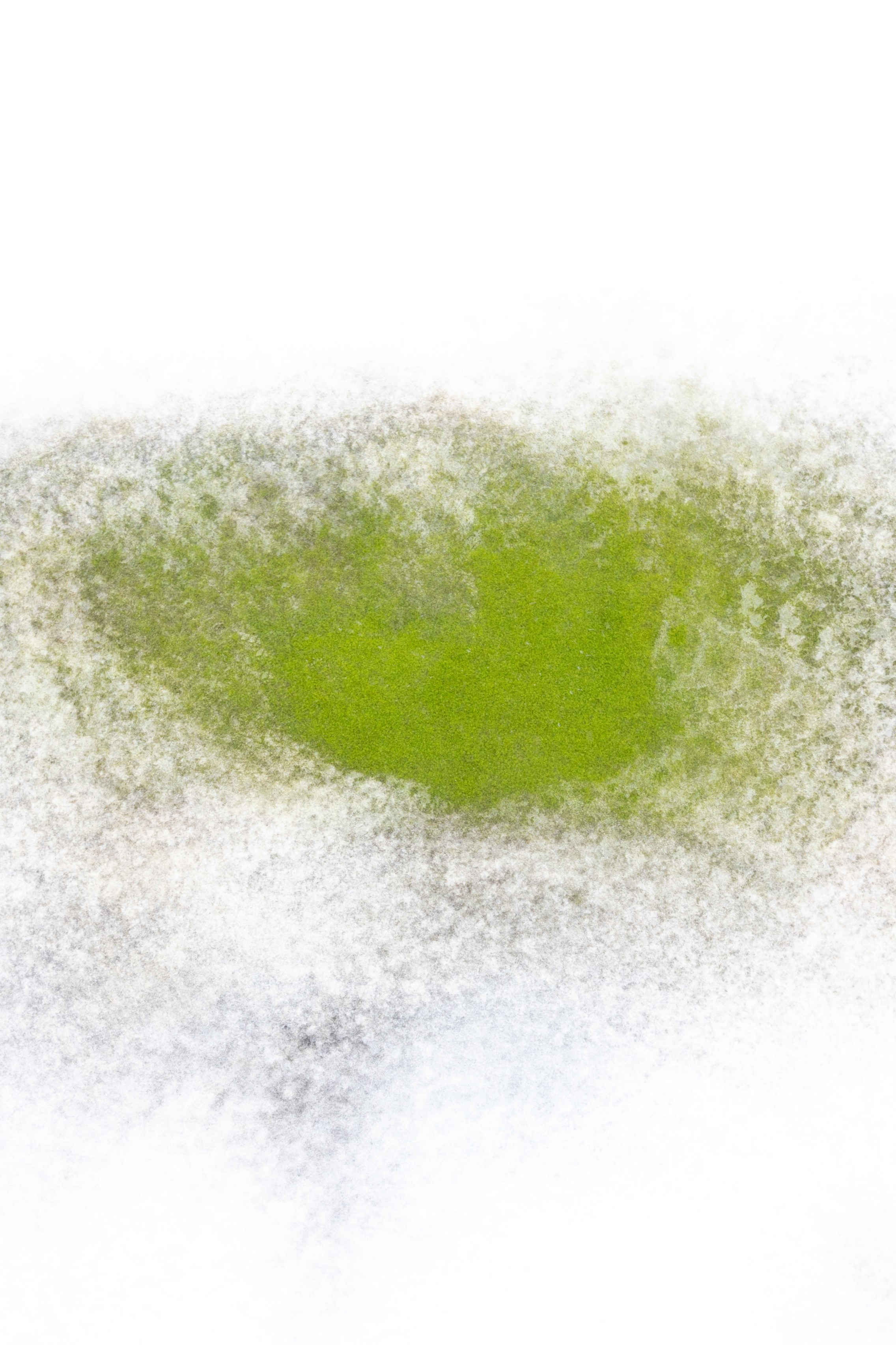 Art prints. Фотограф алина стерхова, алина стерхова фотограф, фотограф москва