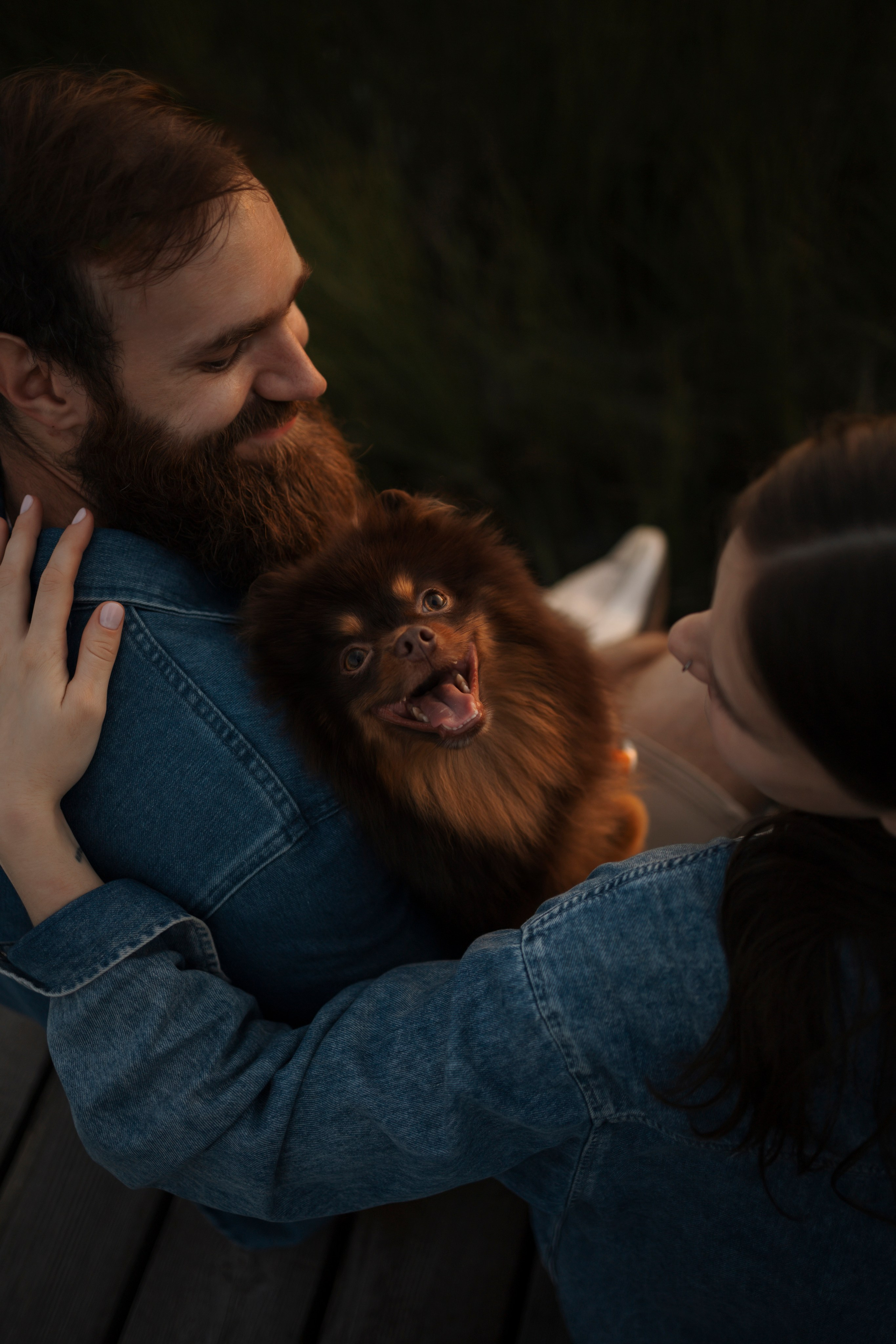 Сапфир и его семья. Фотограф-анималист в Санкт-Петеребурге Титова Алиса