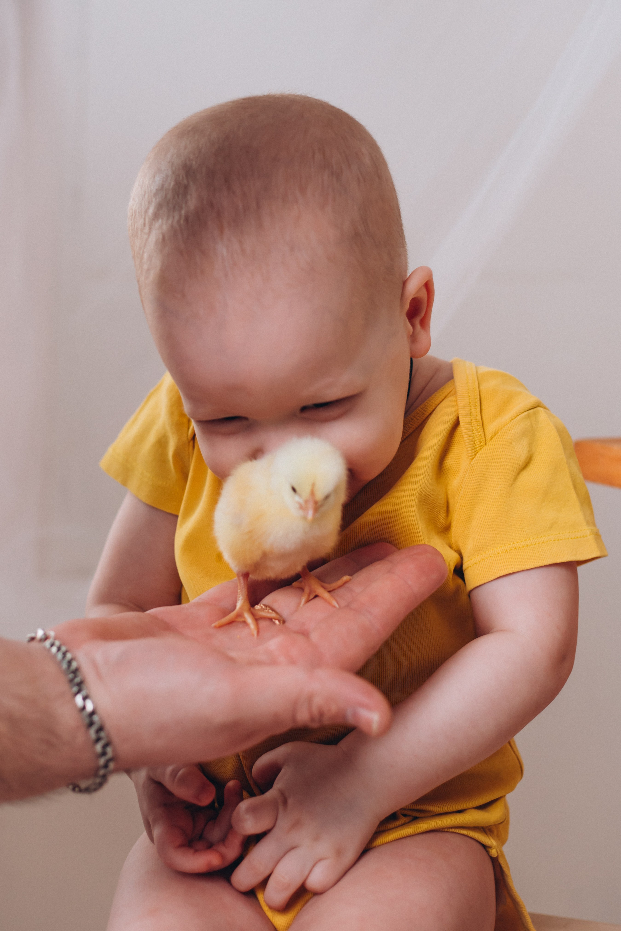 С цыплятами. Семейный фотограф Нижневартовск Тюмень Ефимова Ирина