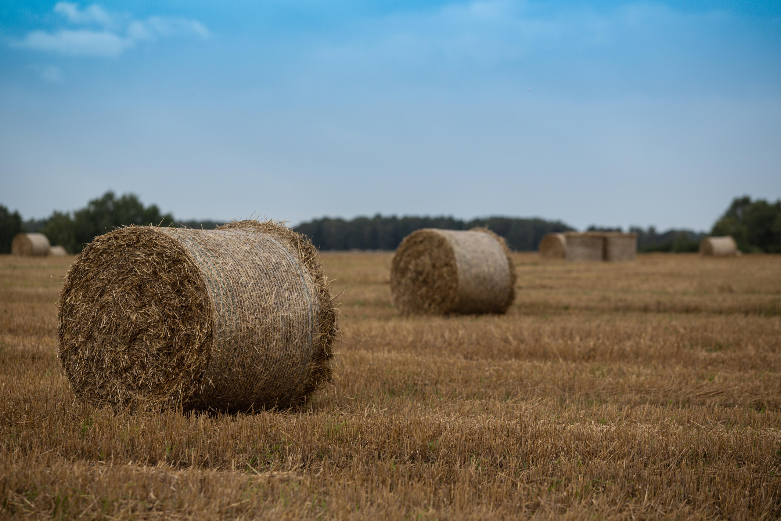 Коллекция пейзажных фотографий. Photographer Sonkina Tatiana (Tanya Ash)