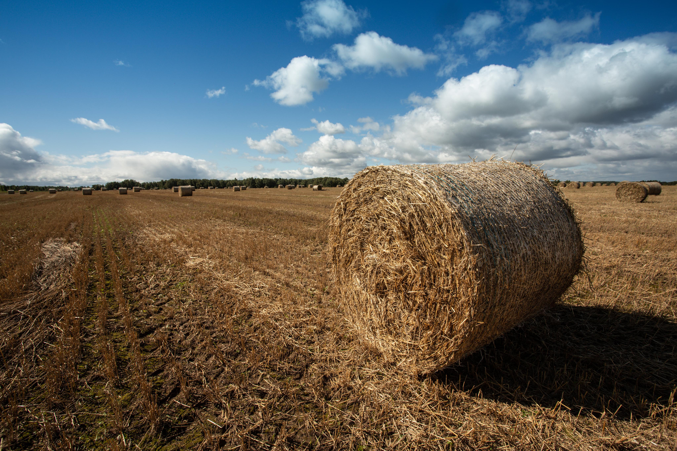 Коллекция пейзажных фотографий. Photographer Sonkina Tatiana (Tanya Ash)