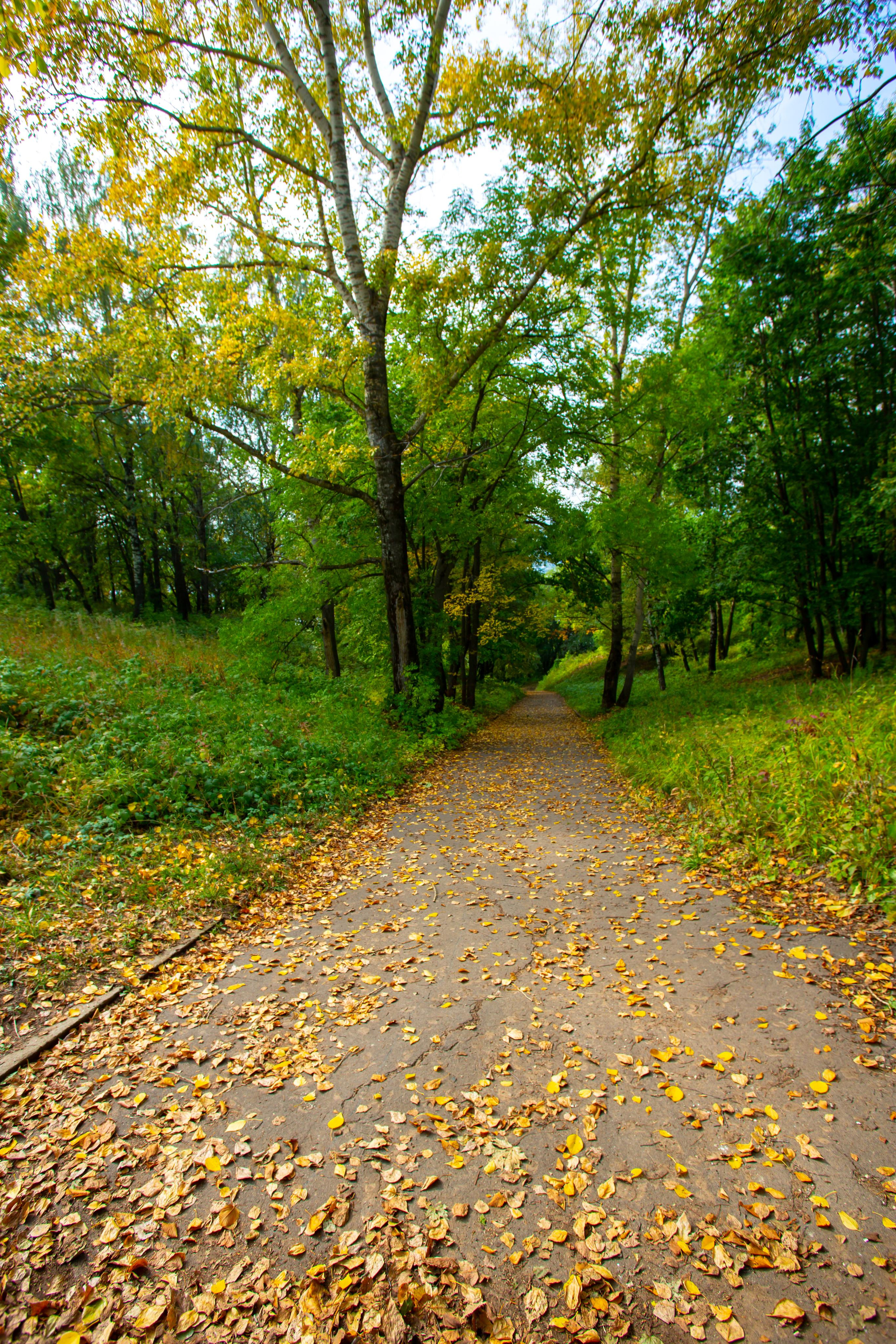 Нижний Новгород. Photographer Sonkina Tatiana (Tanya Ash)