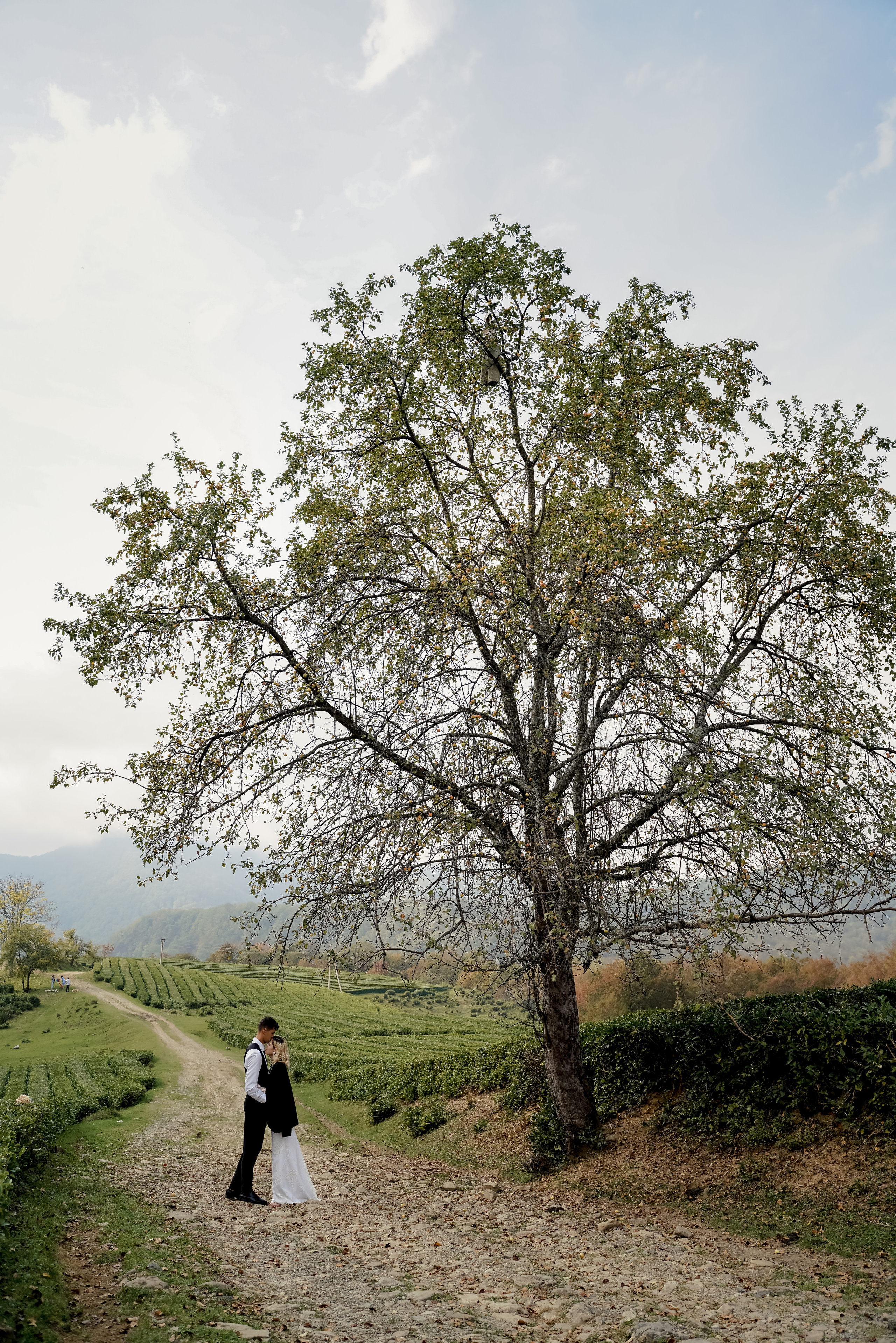 Александр и Мария. Свадебный фотограф город Сочи Красная Поляна Адлер