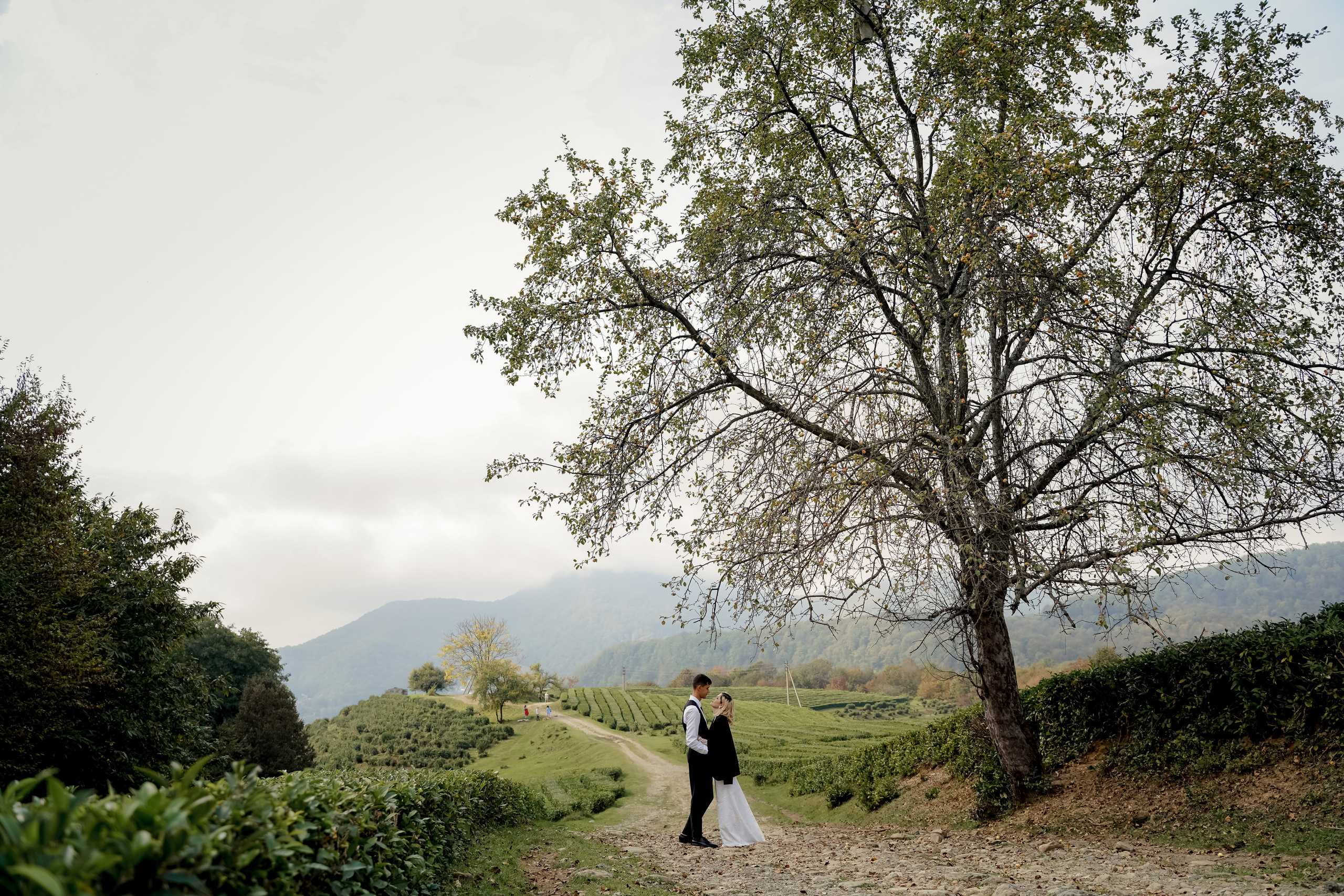 Александр и Мария. Свадебный фотограф город Сочи Красная Поляна Адлер