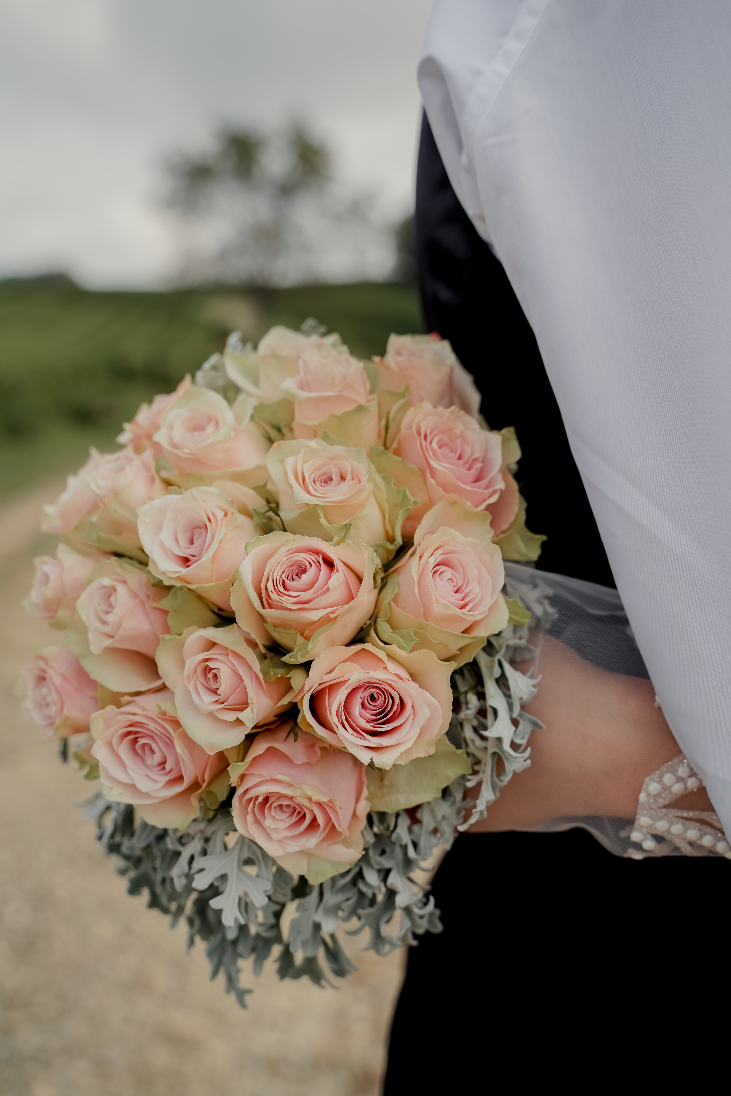 Александр и Мария. Свадебный фотограф город Сочи Красная Поляна Адлер