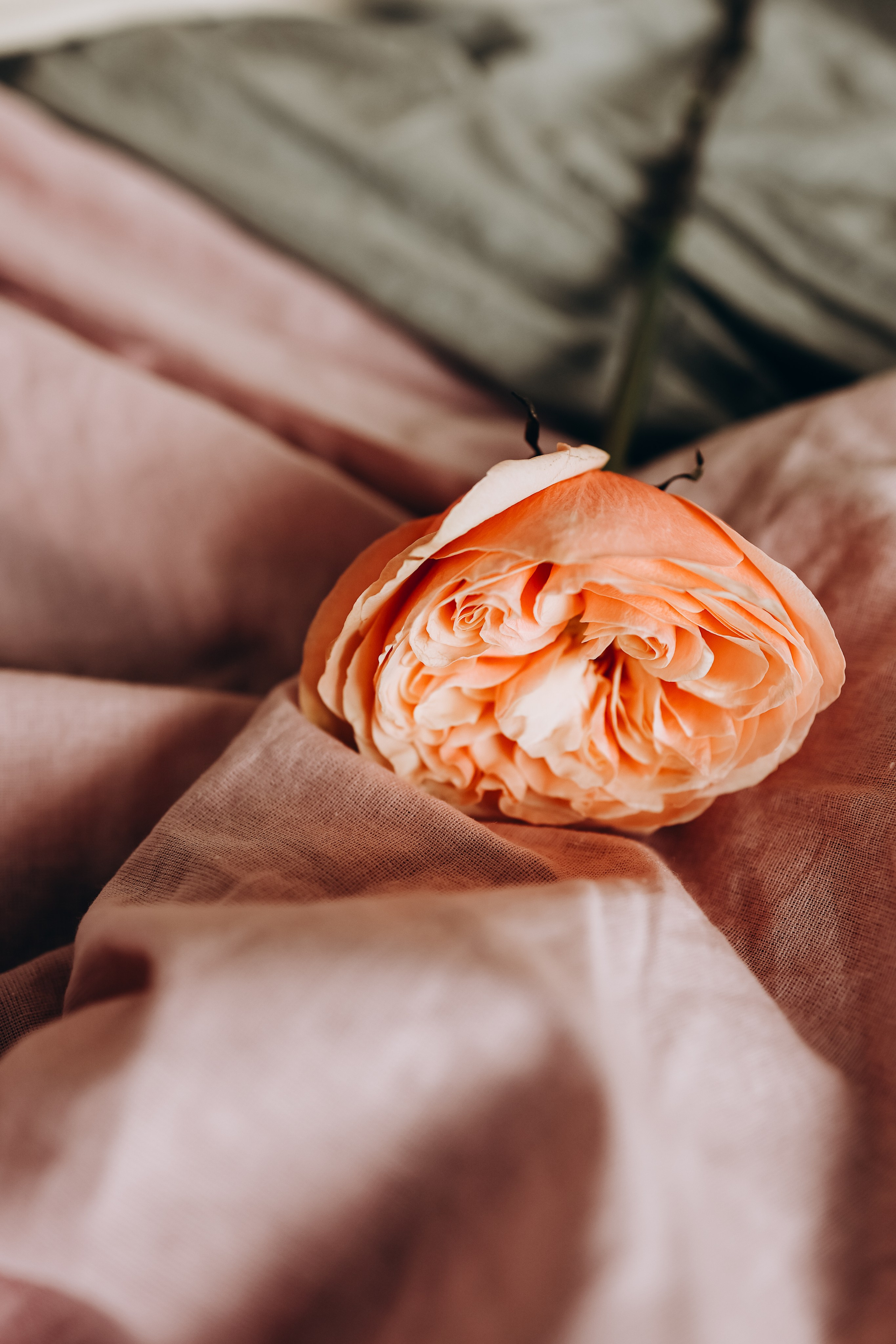 Алина. Свадебный и семейный фотограф в Воронеже Ксения Воротникова