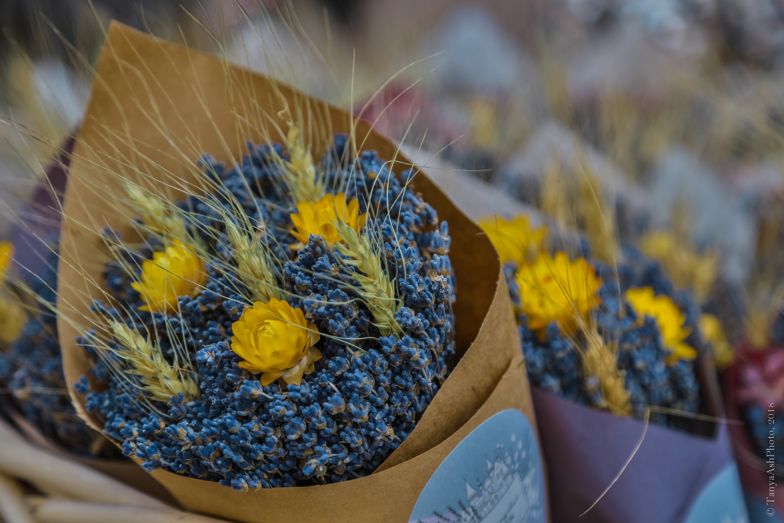 Фестиваль День Франции 2018. Photographer Sonkina Tatiana (Tanya Ash)