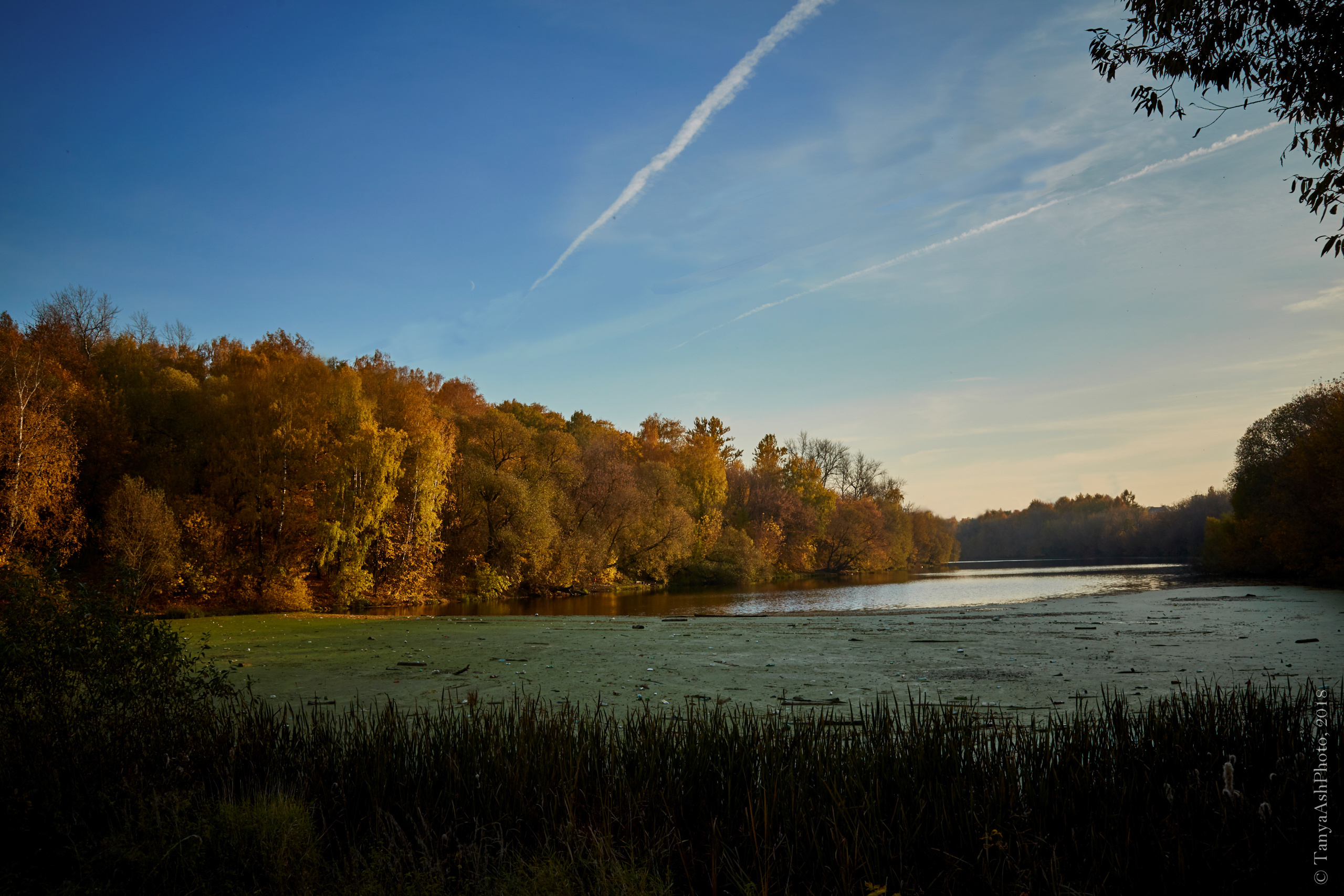 Фотографии Подольска и окрестностей. Photographer Sonkina Tatiana (Tanya Ash)