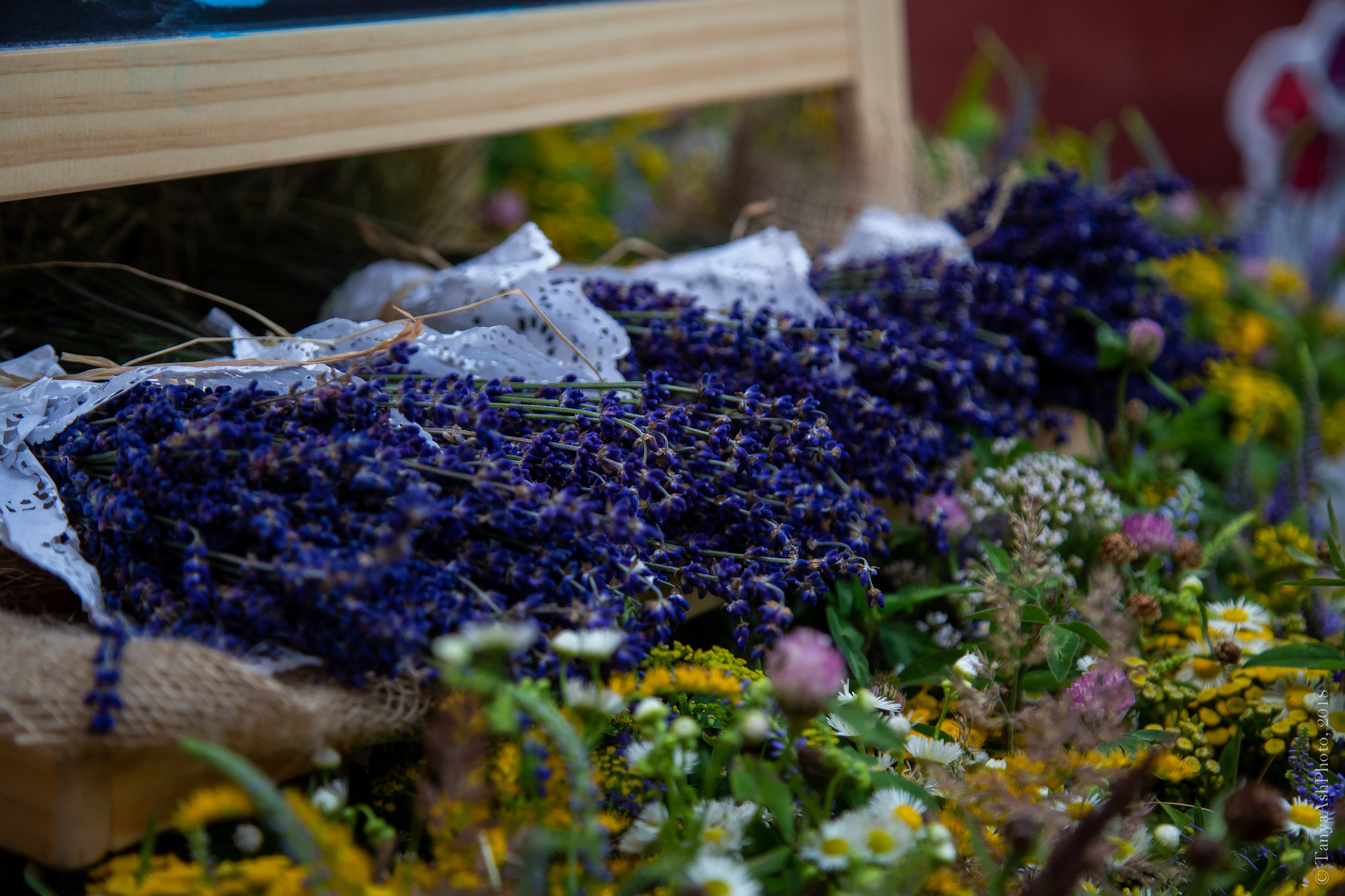 Фестиваль День Франции 2018. Photographer Sonkina Tatiana (Tanya Ash)