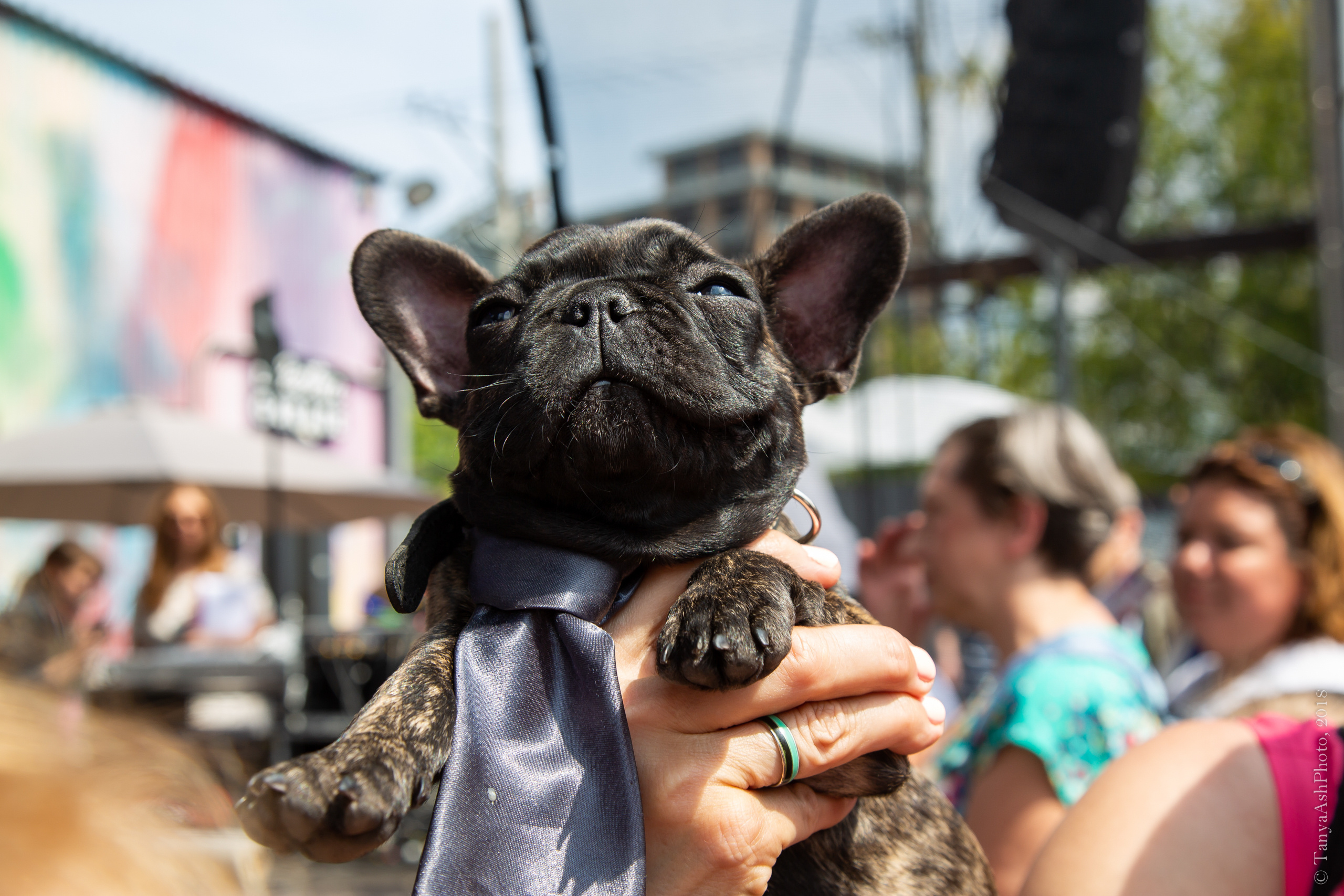 Фестиваль День Франции 2018. Photographer Sonkina Tatiana (Tanya Ash)