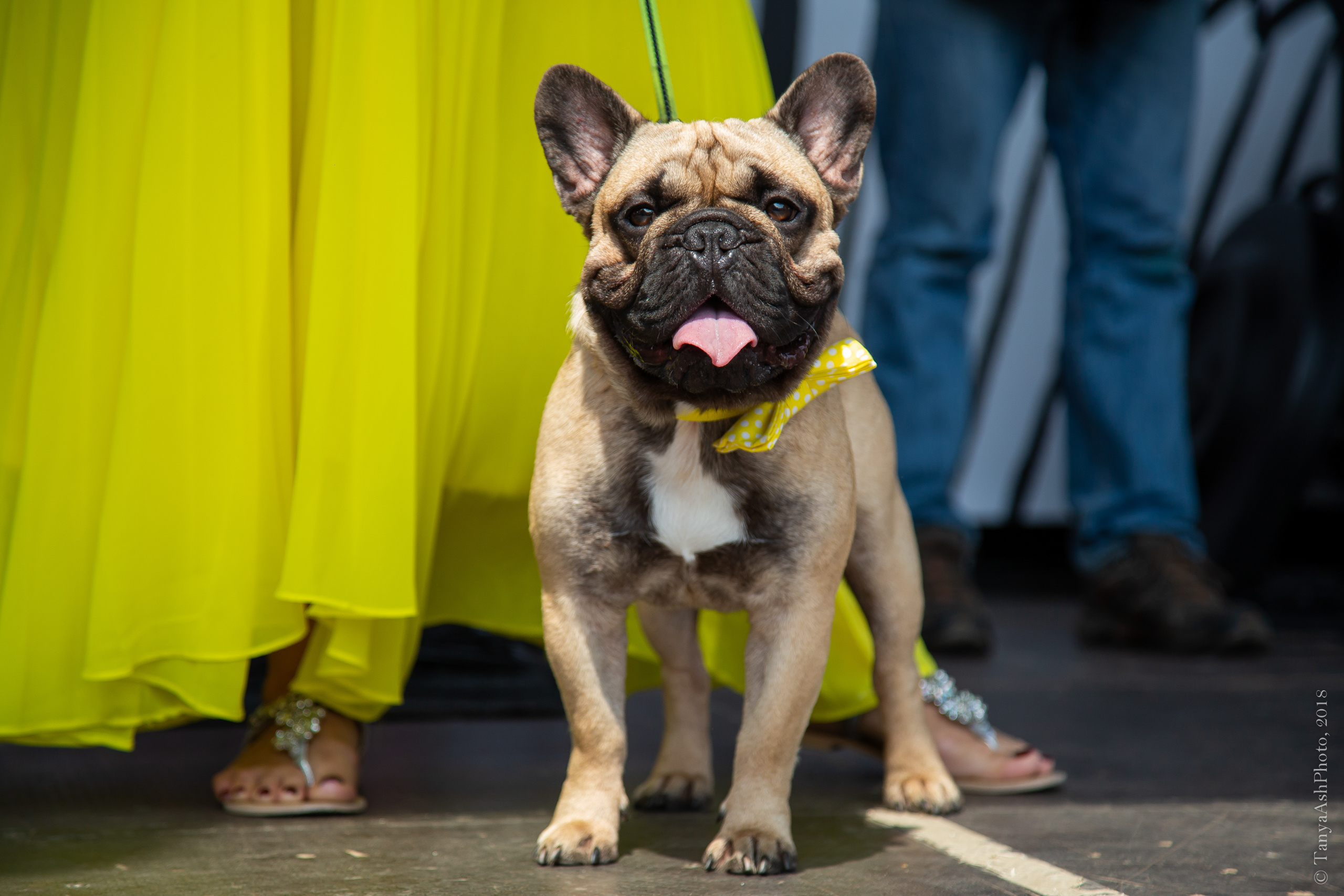 Фестиваль День Франции 2018. Photographer Sonkina Tatiana (Tanya Ash)